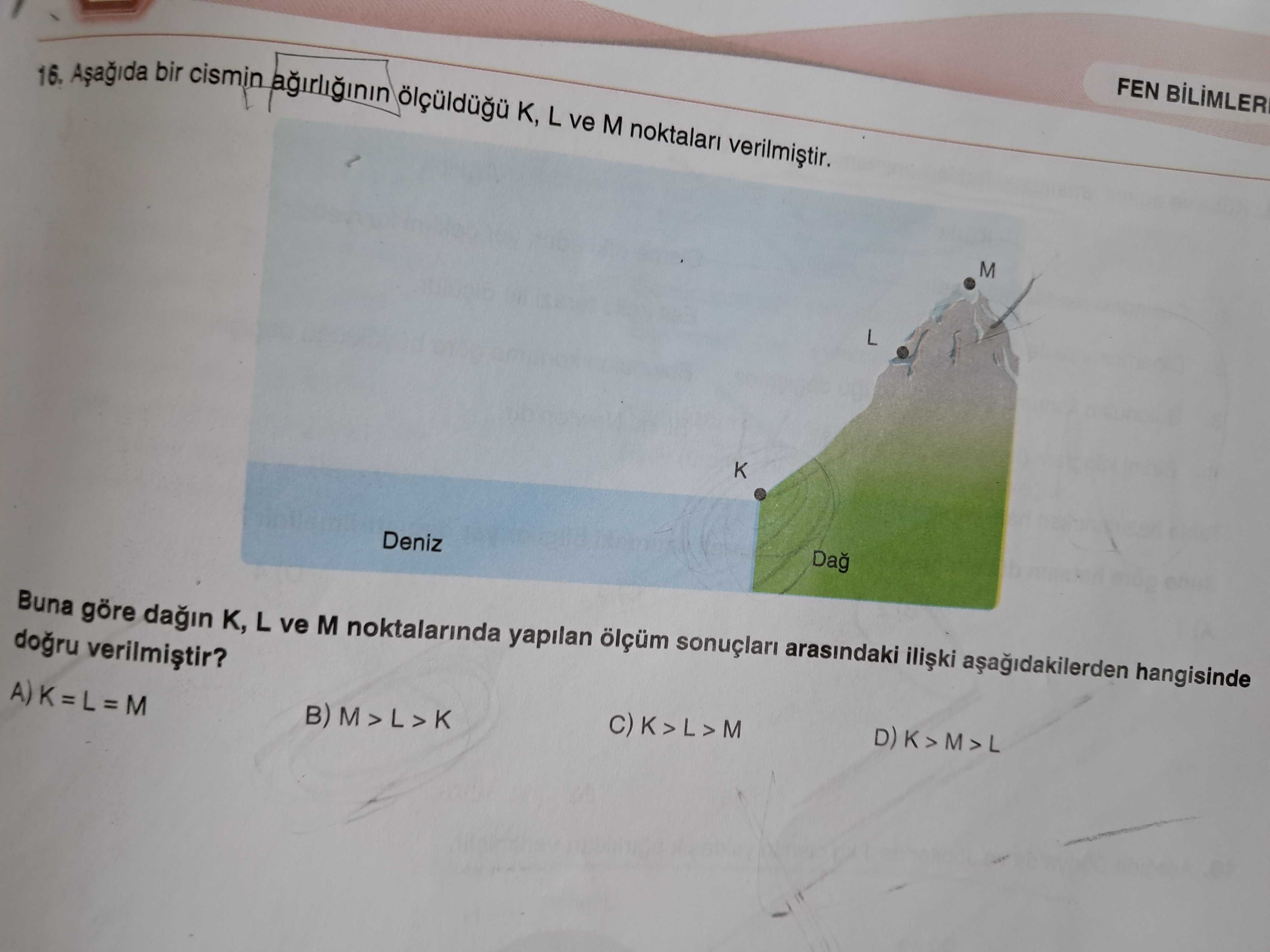 Fen Bilimleri (7. Sınıf)