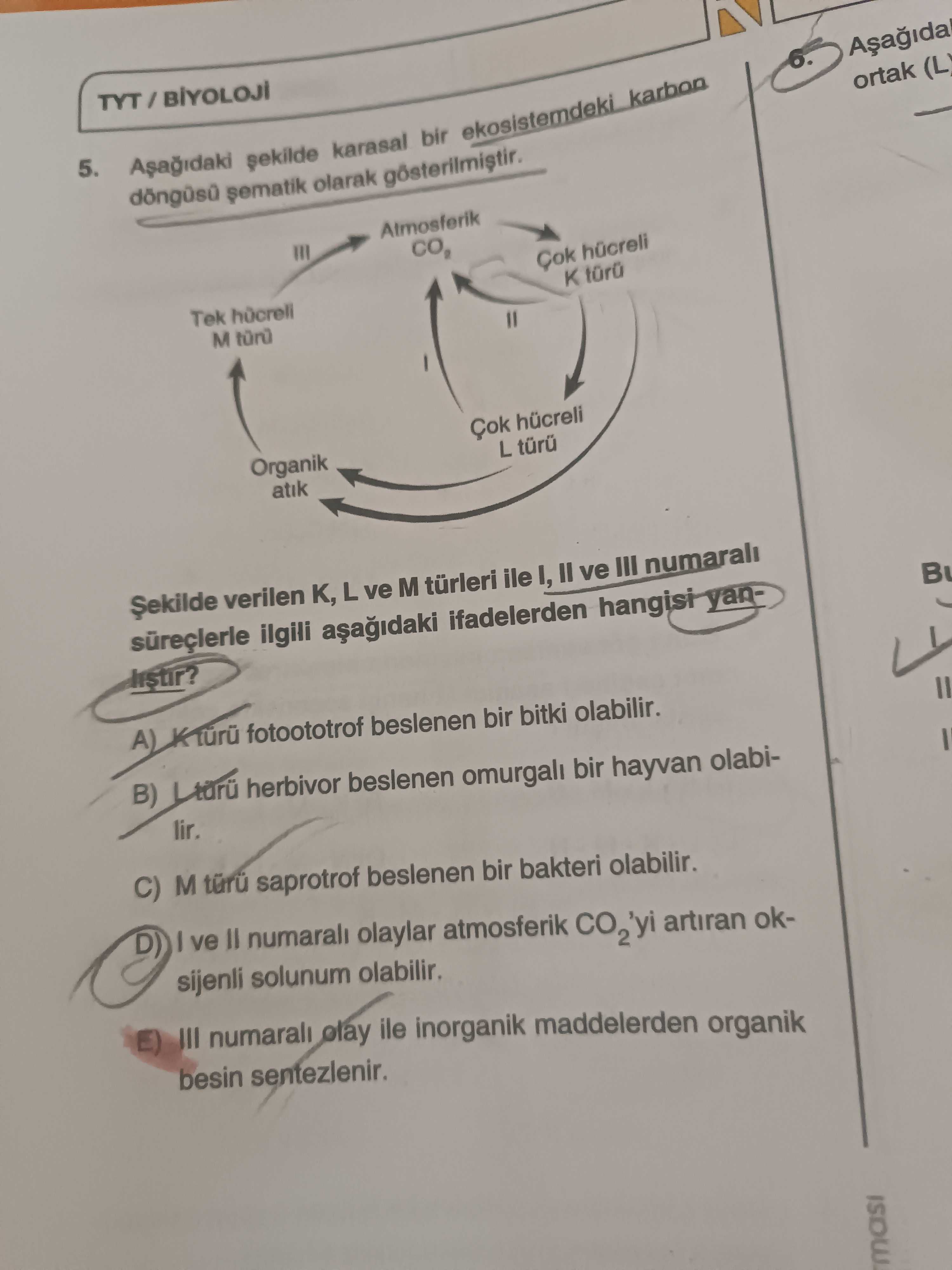Aşağıdaki şekilde karasal bir ekosistemdeki karbon döngüsü şematik olarak gösterilmiştir. Şekilde