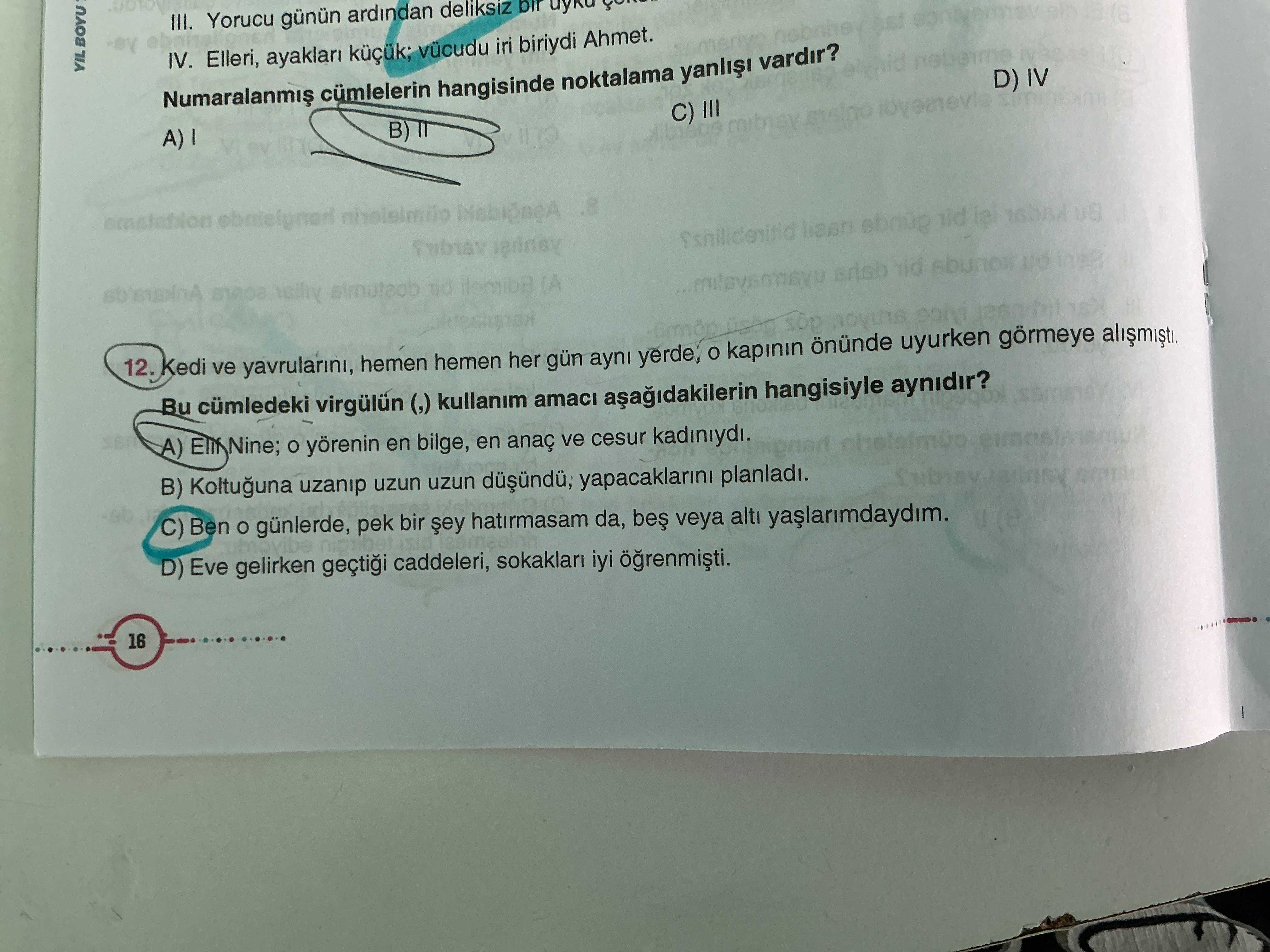 Kedi ve yavrularını, hemen hemen her gün aynı yerde, o kapının önünde uyurken görmeye alışmıştı. Bu