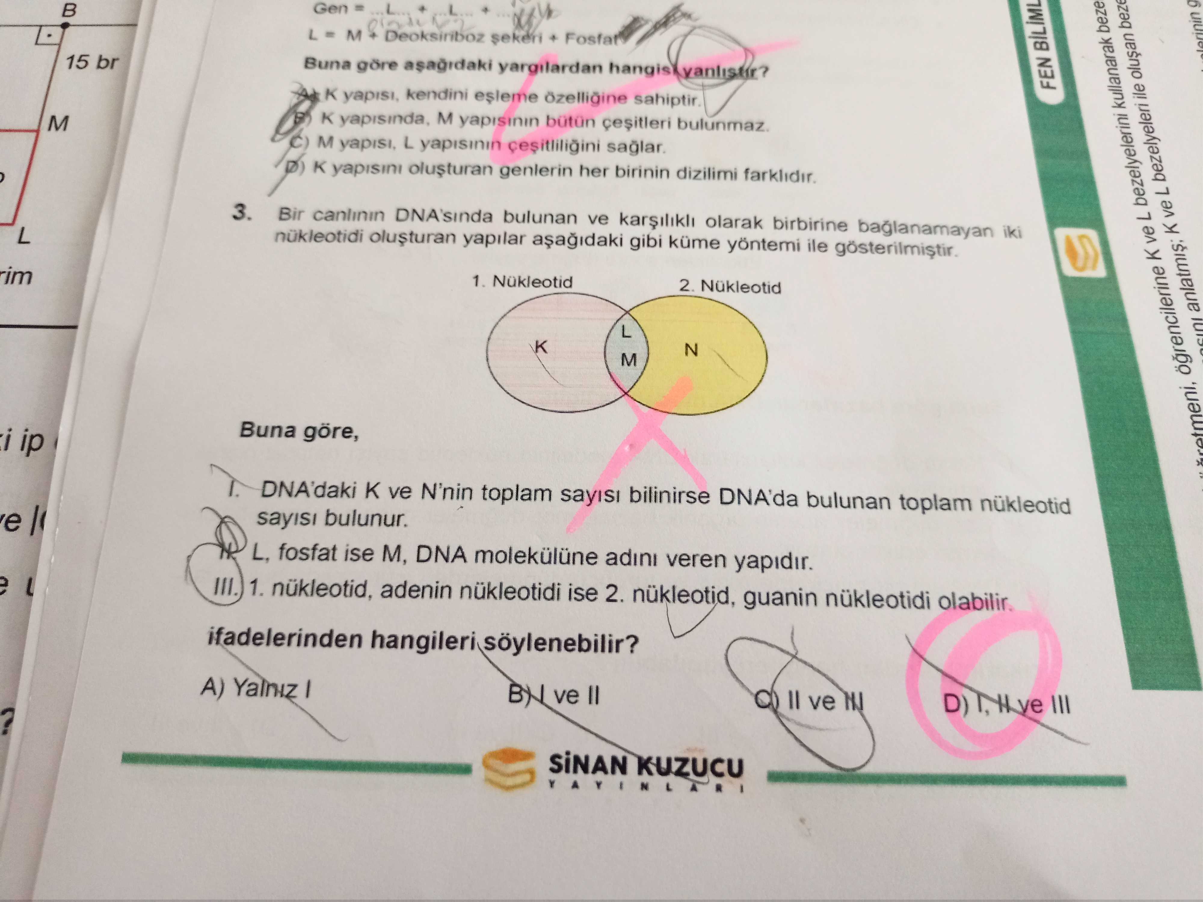 Bir canlının DNA'sında bulunan ve karşılıklı olarak birbirine bağlanamayan iki nükleotidi oluşturan