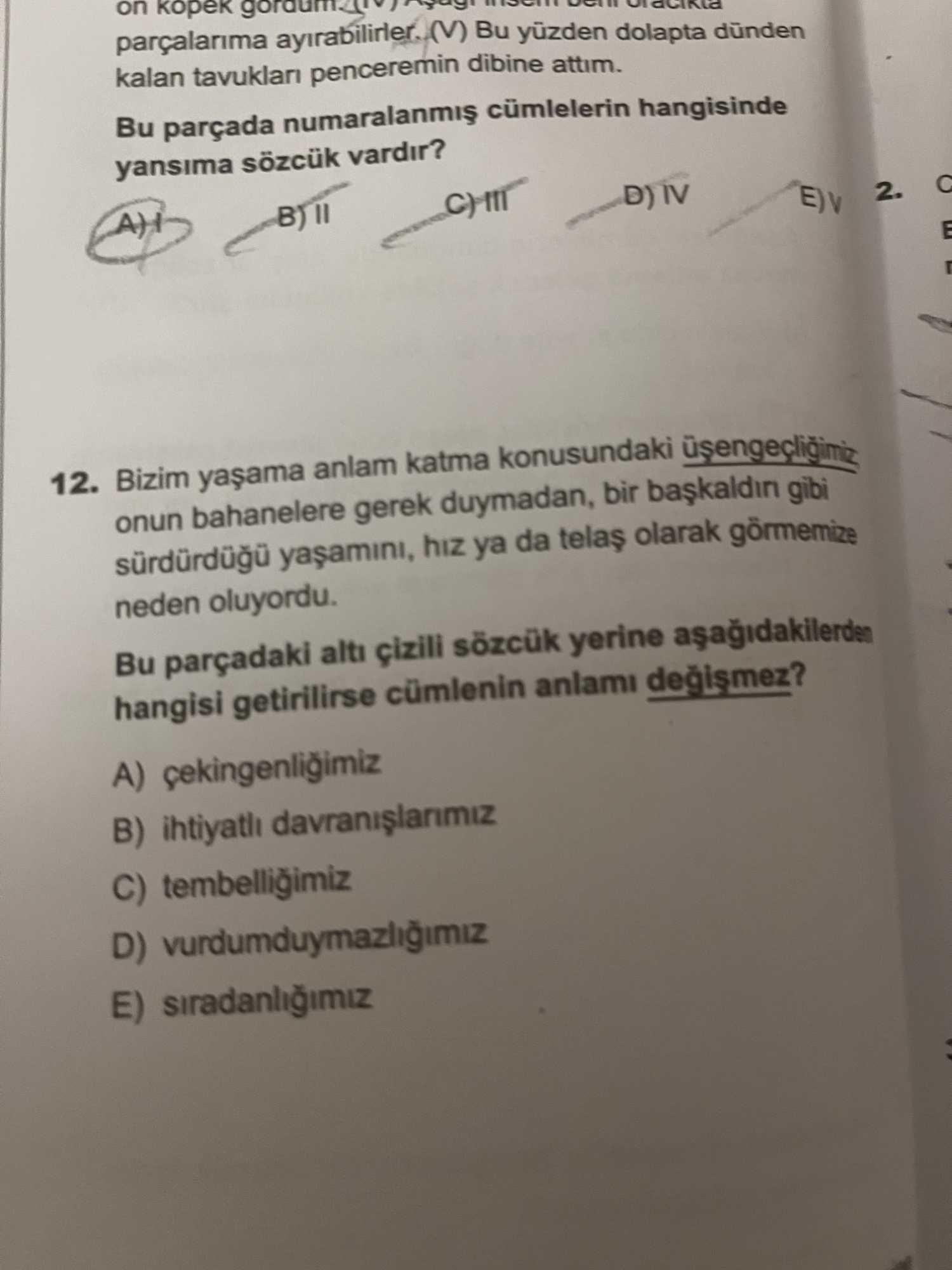 Bizim yaşama anlam katma konusundaki üşengeçliğimiz onun bahanelere gerek duymadan, bir başkaldırı