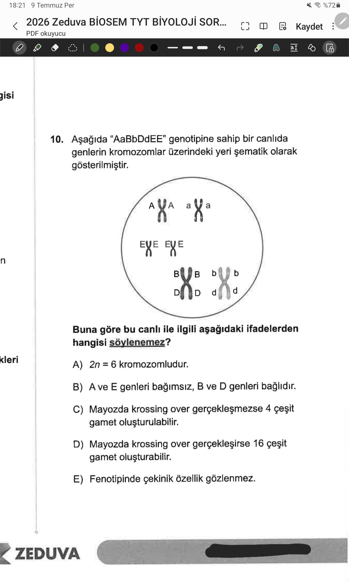 Aşağıda "AaBbDdEE" genotipine sahip bir canlıda genlerin kromozomlar üzerindeki yeri şematik olarak