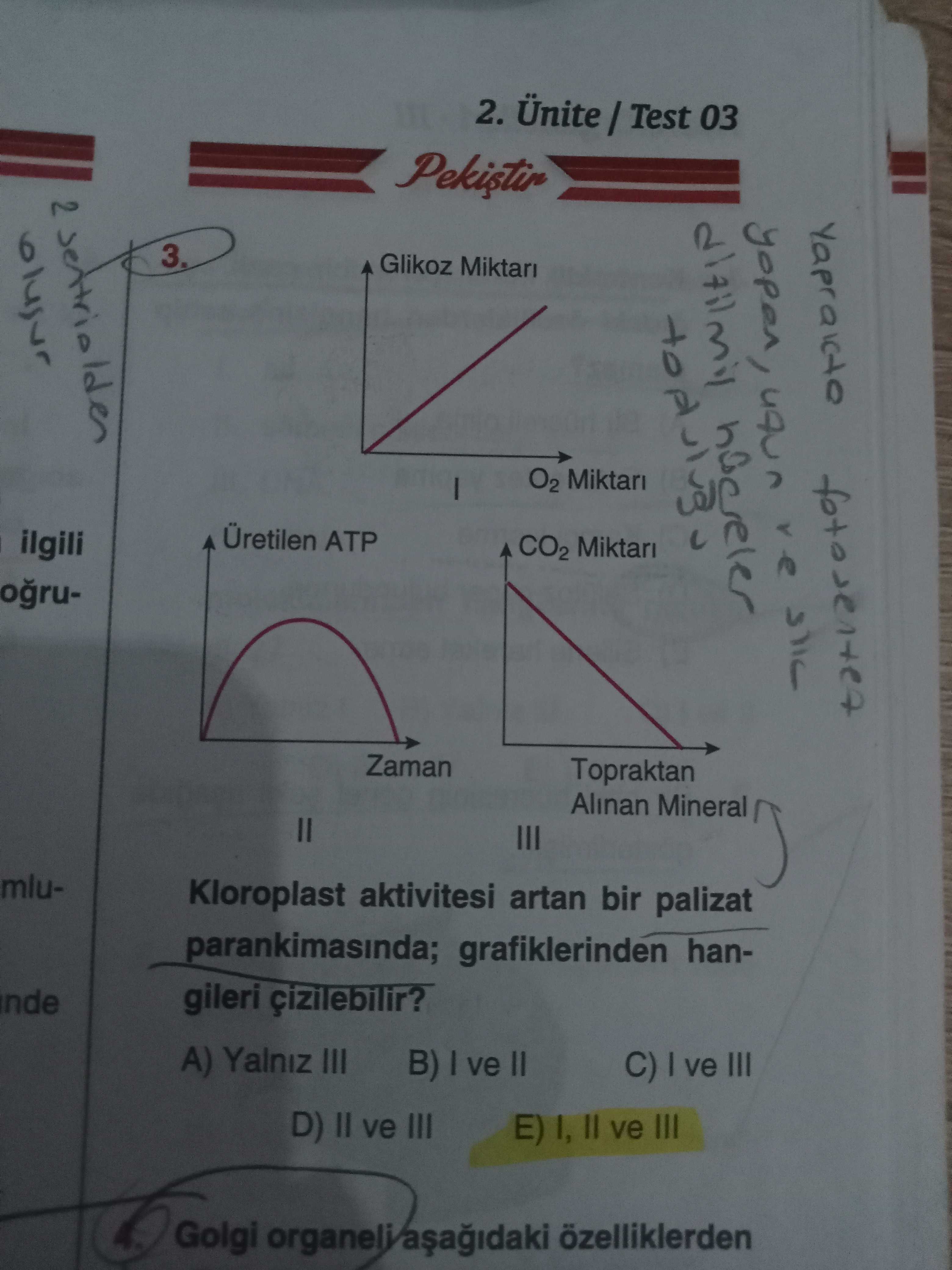 Biyoloji (12. Sınıf)