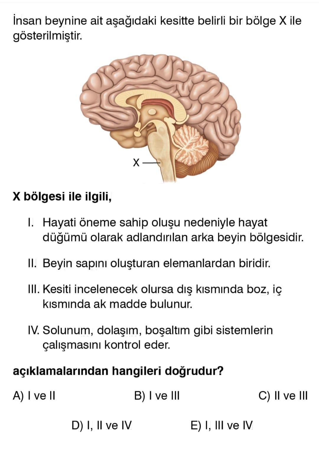 Beynine ait kesitte belirli bir bölge ile bölgesi ile ilgili, I. Hayati öneme sahip nedeniyle hayat olarak adlandirilan arka beyin bölgesidir. II. Beyin sapini elemanlardan biridir. III. Kesiti incelenecek olursa kisminda boz, iç kisminda ak madde bulunur. IV. Solunum, gibi sistemlerin kontrol eder. açiklamalarindan hangileri ve B) I ve III C) ve III D) I, ve IV I, III ve IV beynine ait kesitte belirli bir bölge ile bölgesi ile ilgili, I. açiklamalarindan hangileri ve B) I ve III C) ve III D) I, ve IV I, III ve IV. ?? Model.Question.title