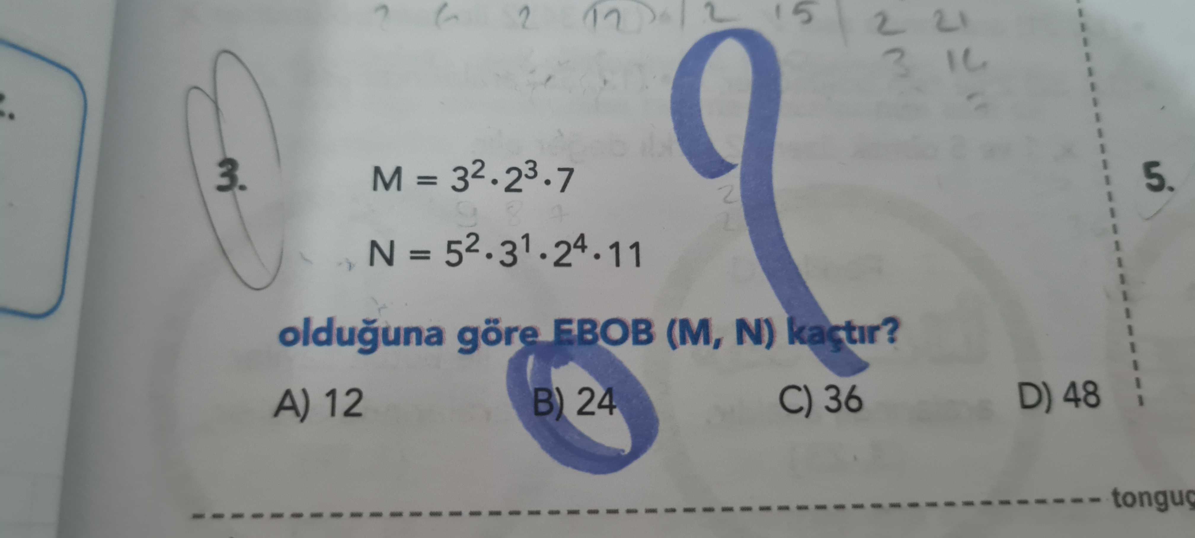 Matematik (8. Sınıf)