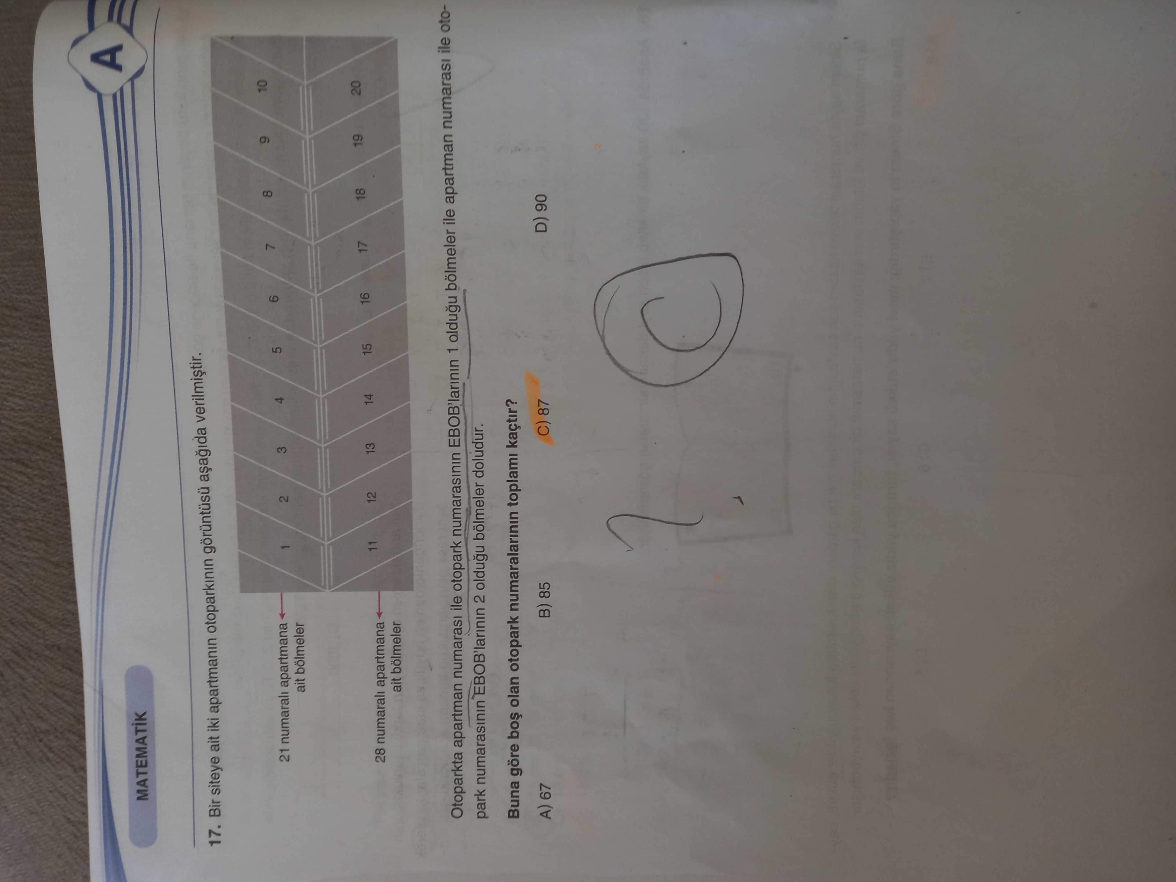 Matematik (8. Sınıf)