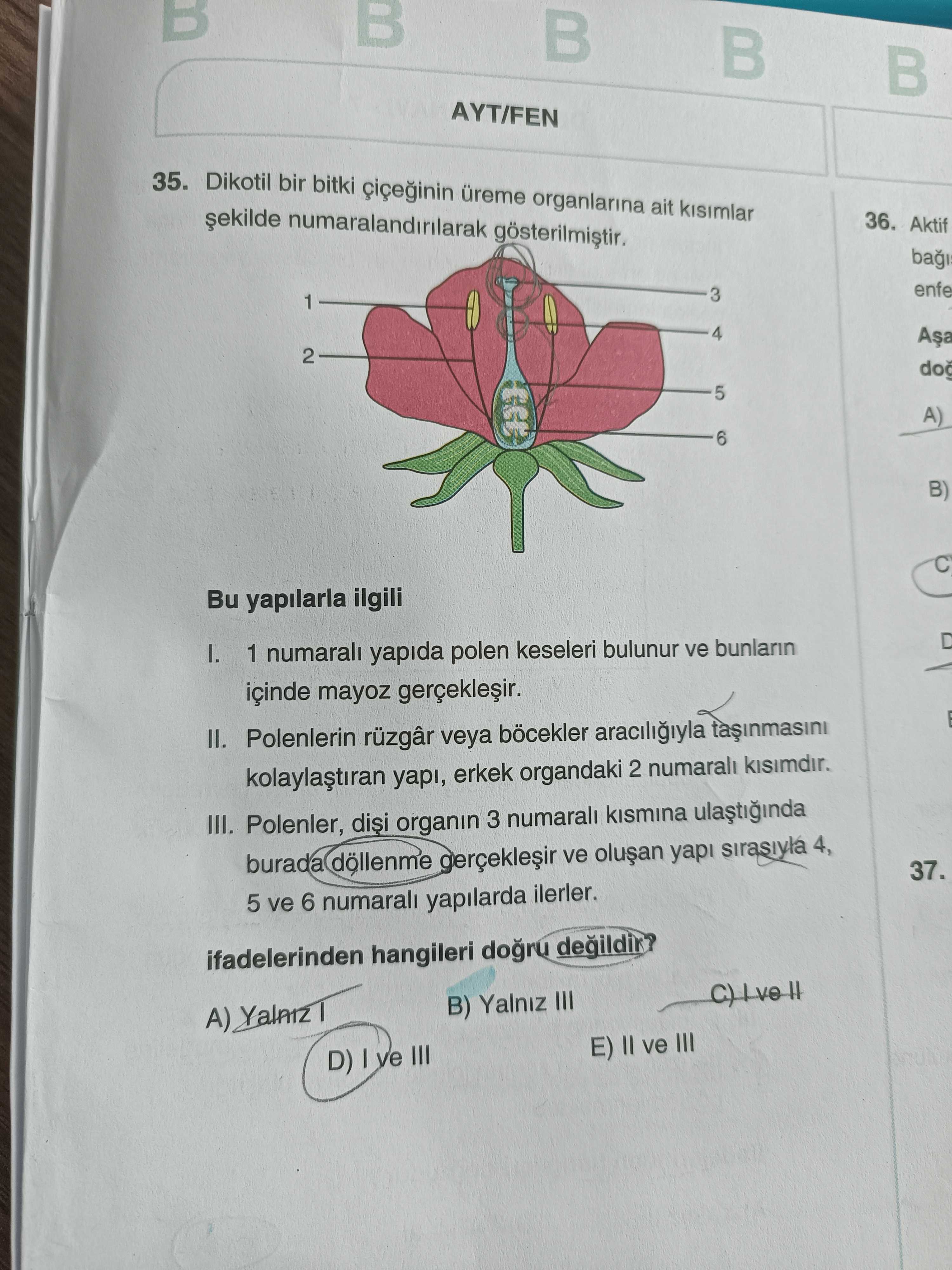 Dikotil bir bitki çiçeğinin üreme organlarına ait kısımlar şekilde numaralandırılarak