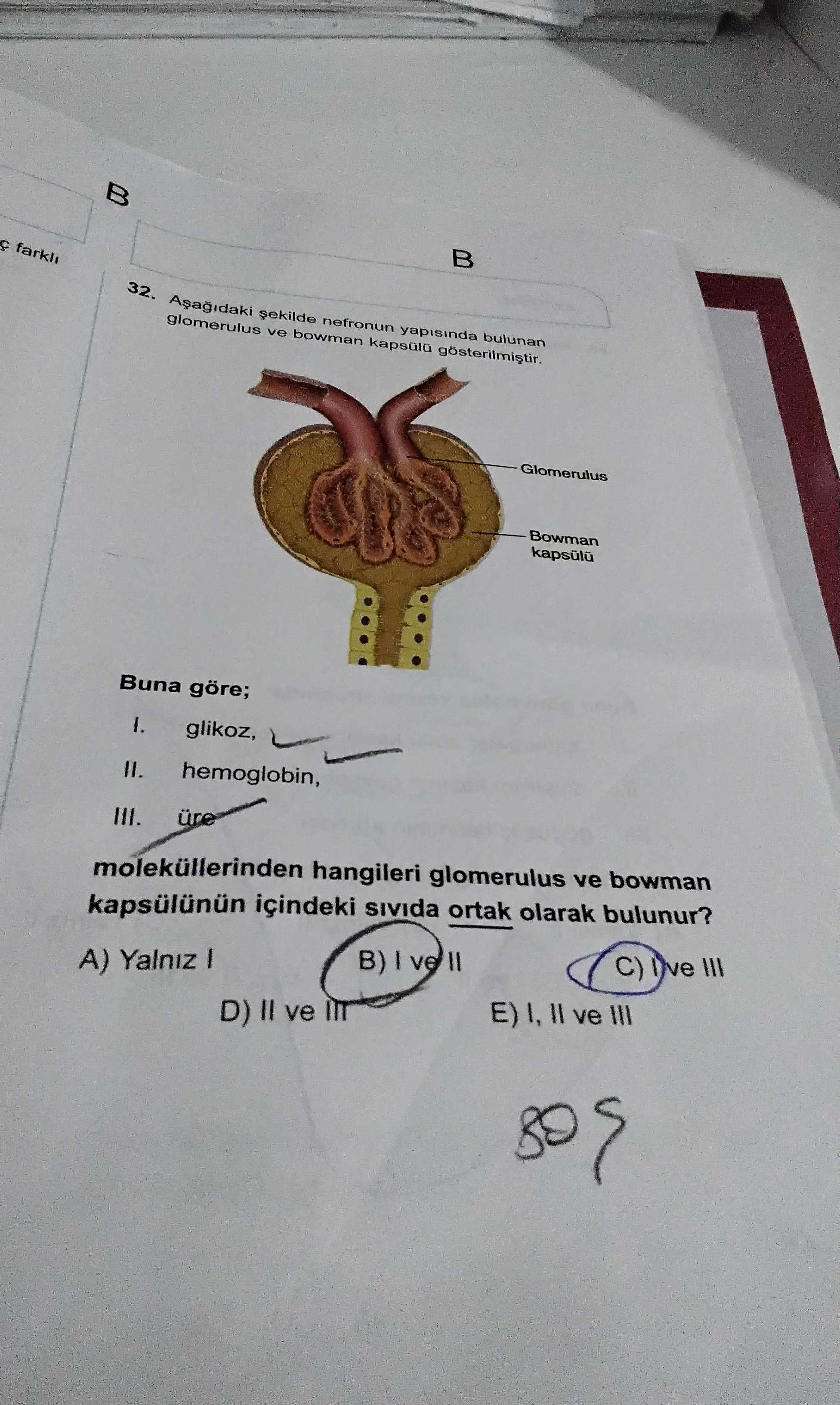 Aşağıdaki şekilde nefronun yapısında bulunan glomerulus ve bowman kapsülü gösterilmiştir. Buna göre
