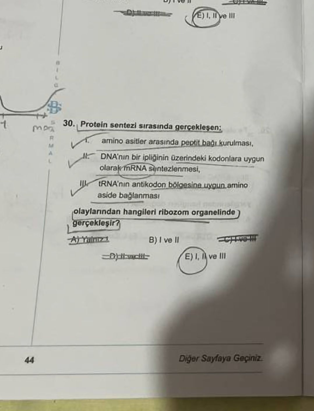 Protein sentezi sırasında gerçekleşen; I. amino asitler arasında peptit bağı kurulması, II. DNA'nın