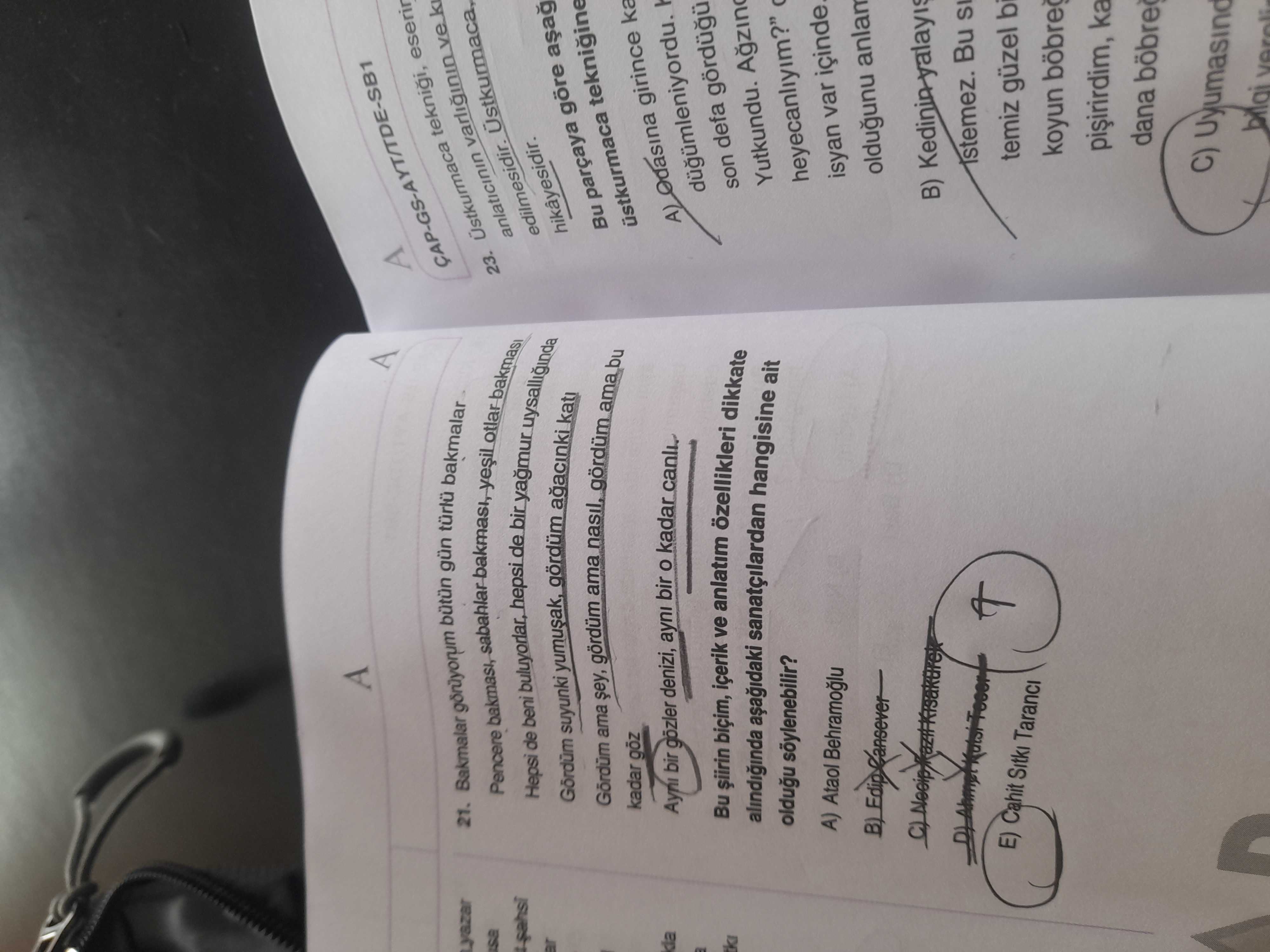 Bakmalar görüyorum bütün gün türlü bakmalar . Pencere bakması, sabahlar bakması, yeşil otlar bakması