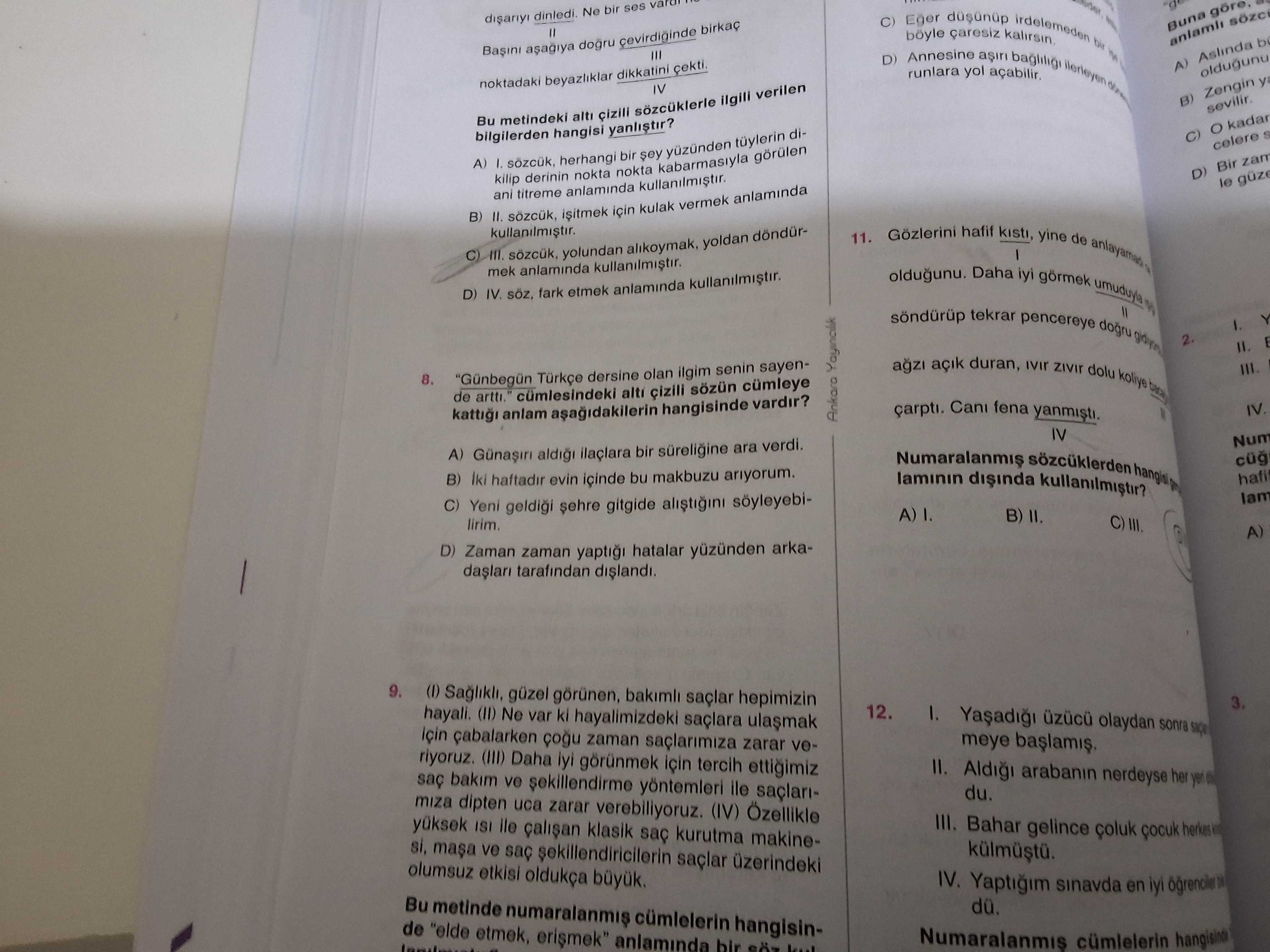 Türkçe (8. Sınıf)