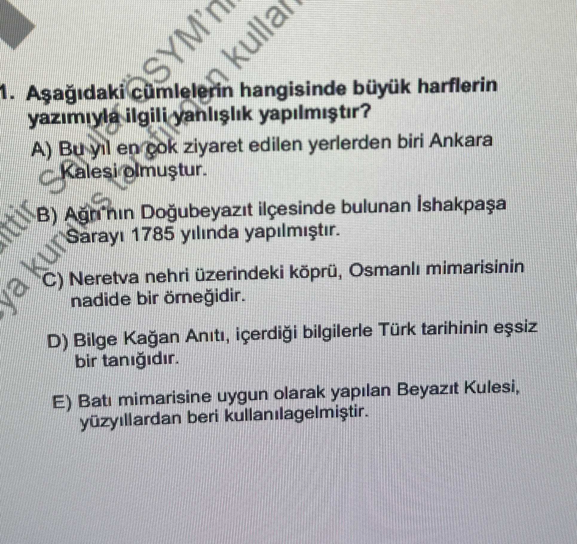 Aşağıdaki cümlelerin hangisinde büyük harflerin yazımıyla ilgili yanlışlık yapılmıştır?