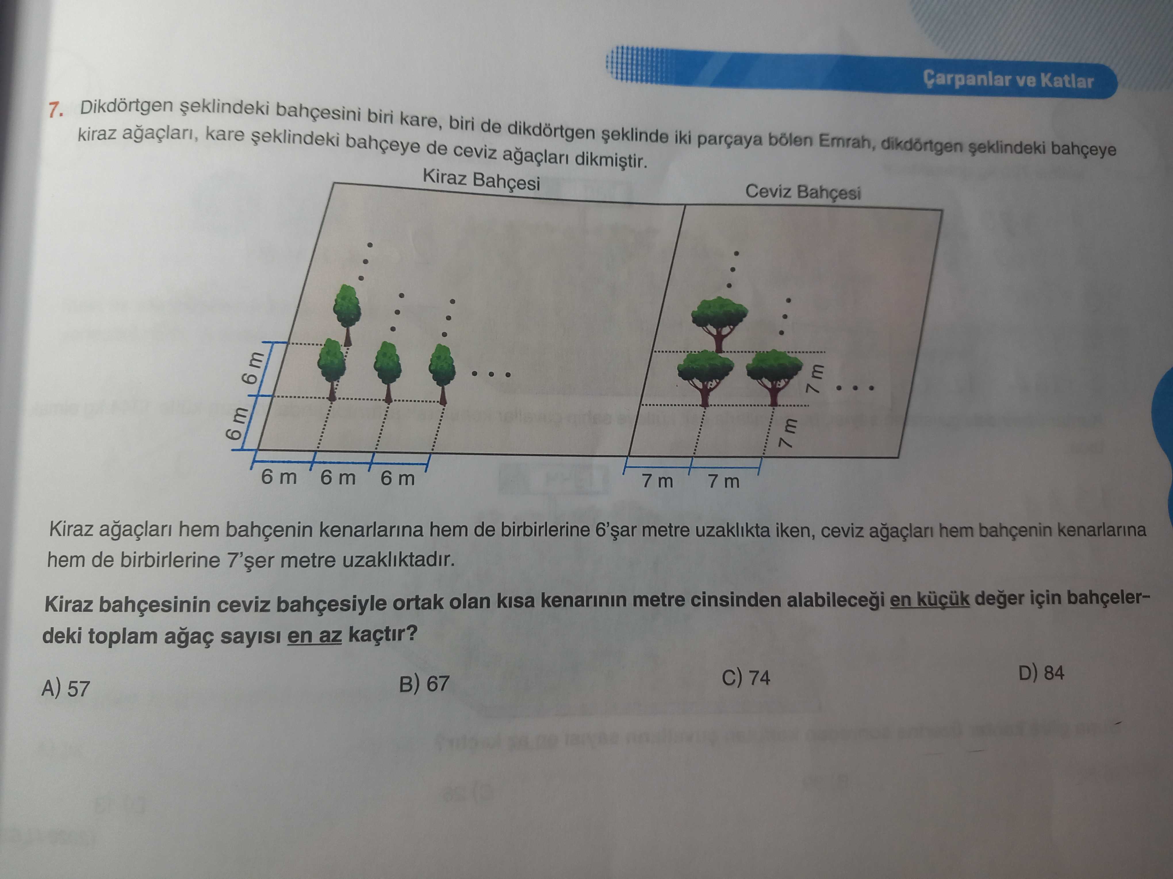Matematik (8. Sınıf)