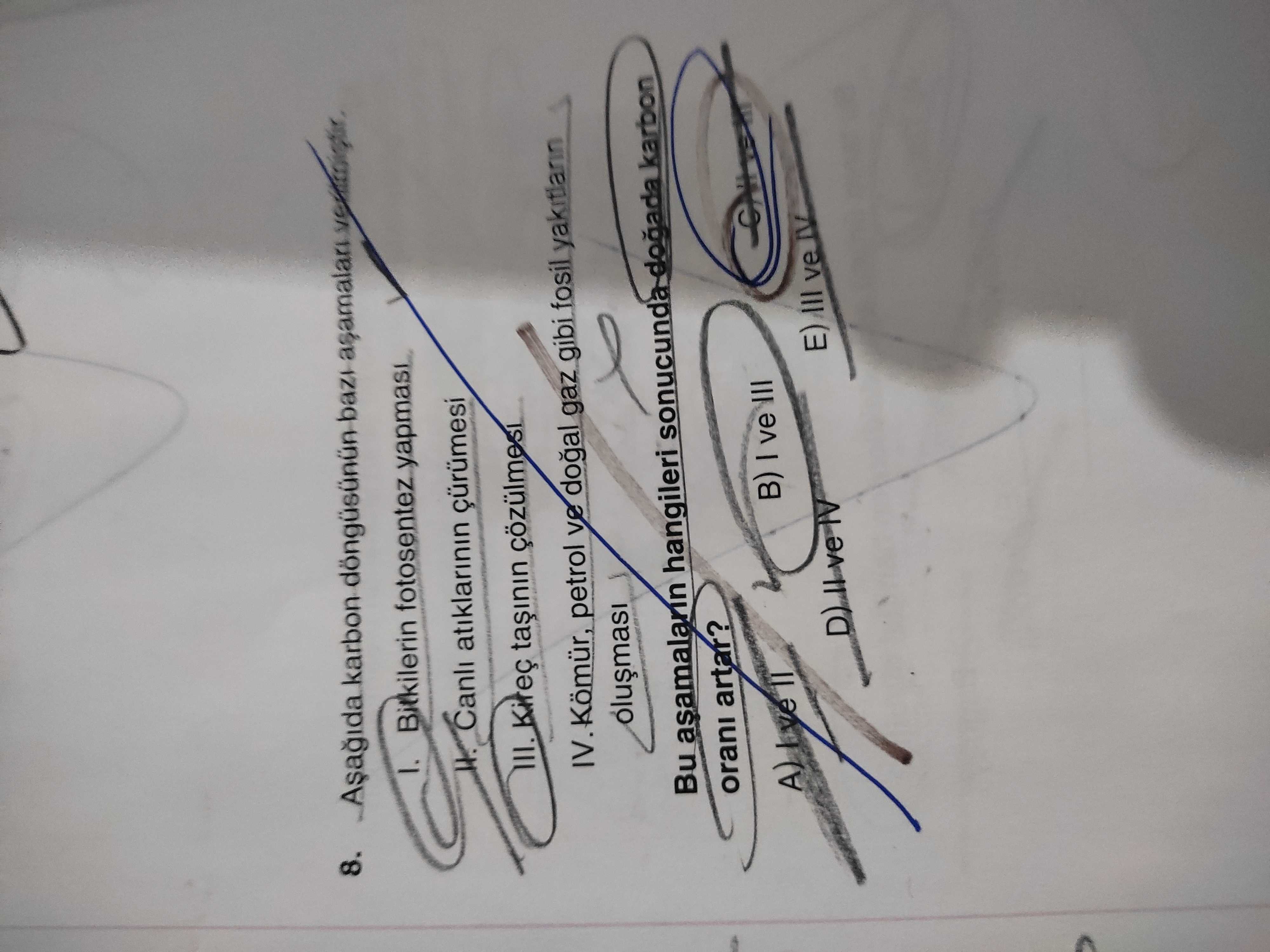 Coğrafya (11. Sınıf)