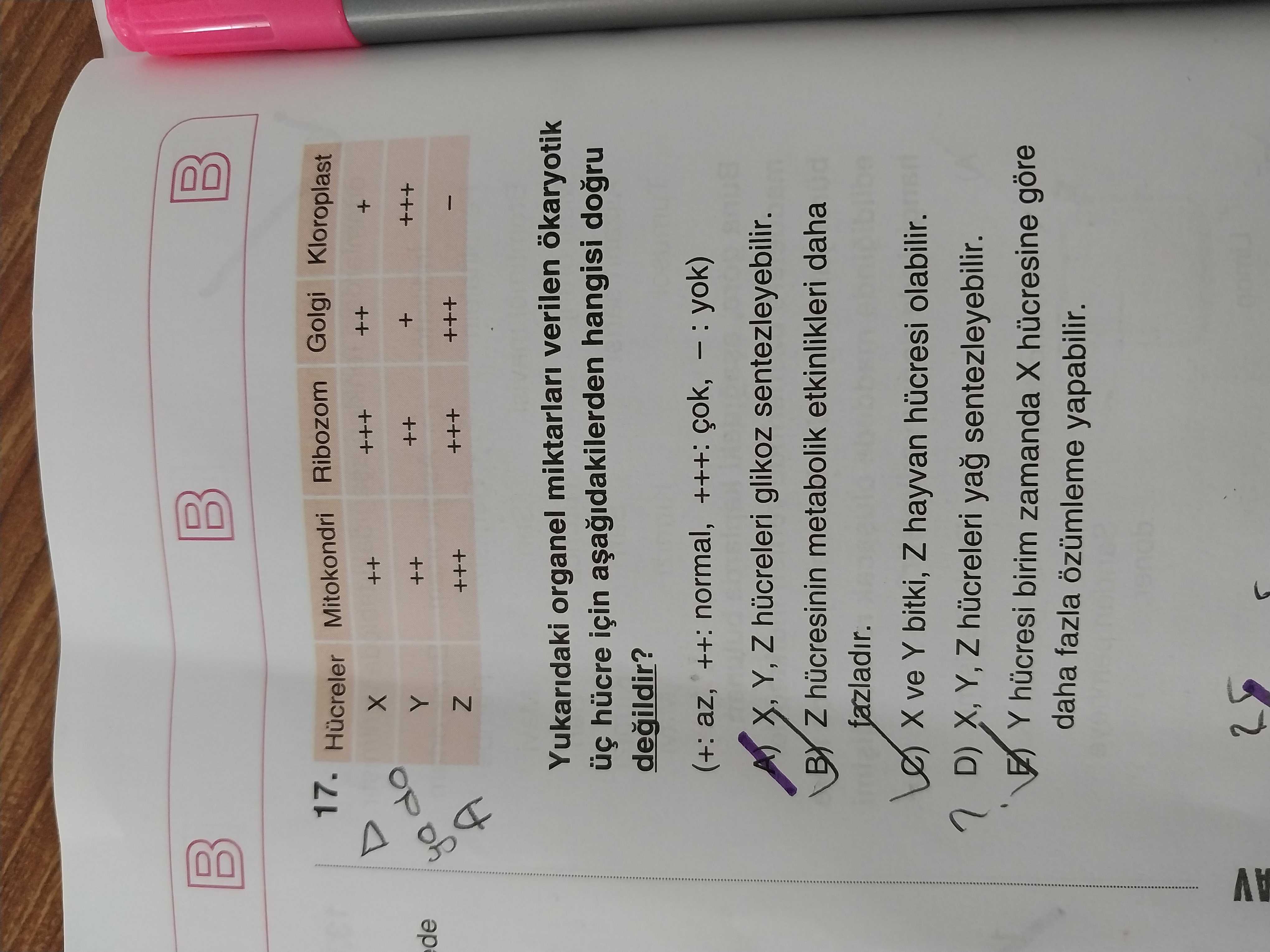 Biyoloji (12. Sınıf)