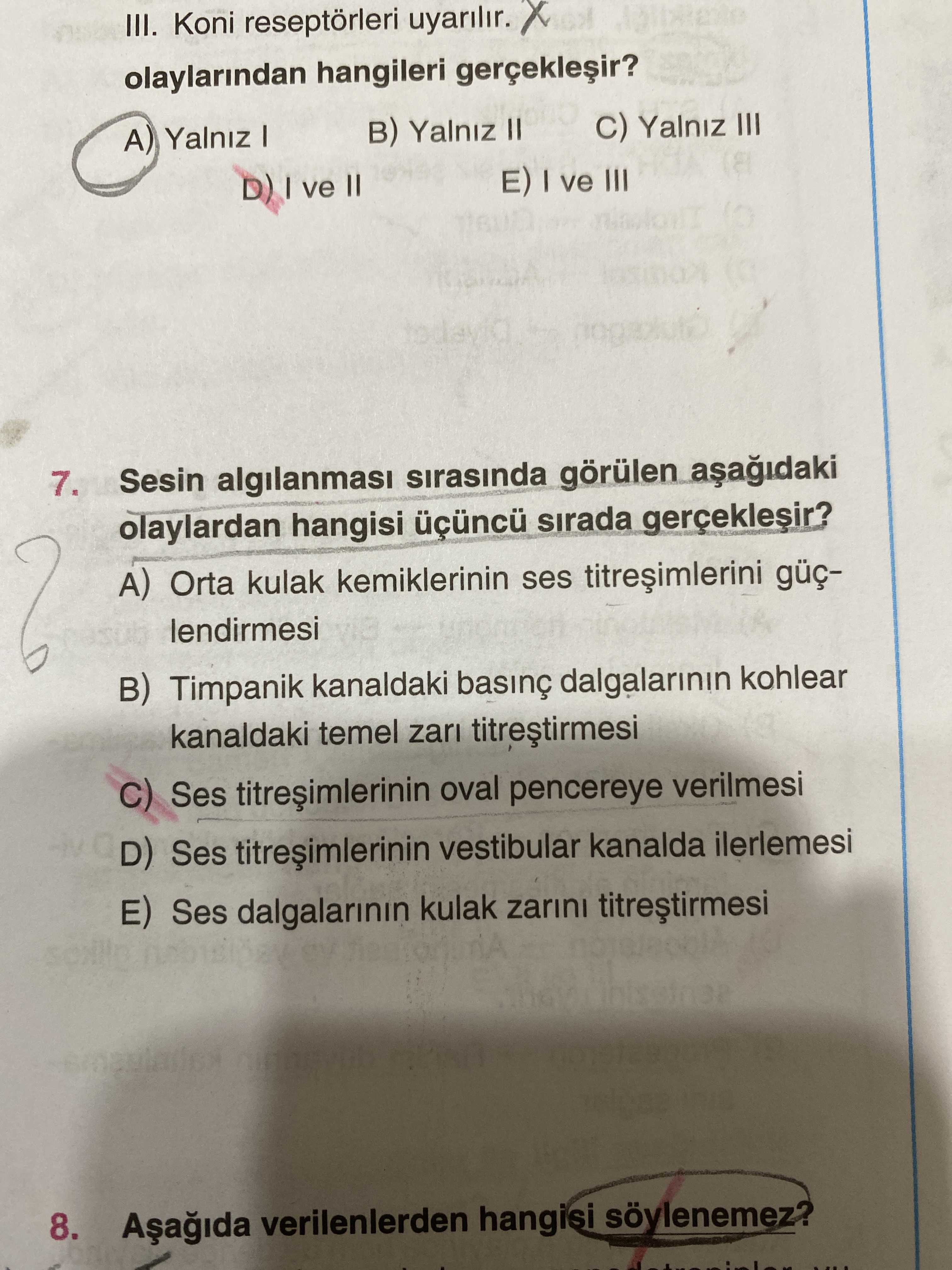 Sesin algılanması sırasında görülen aşağıdaki olaylardan hangisi üçüncü sırada gerçekleşir?