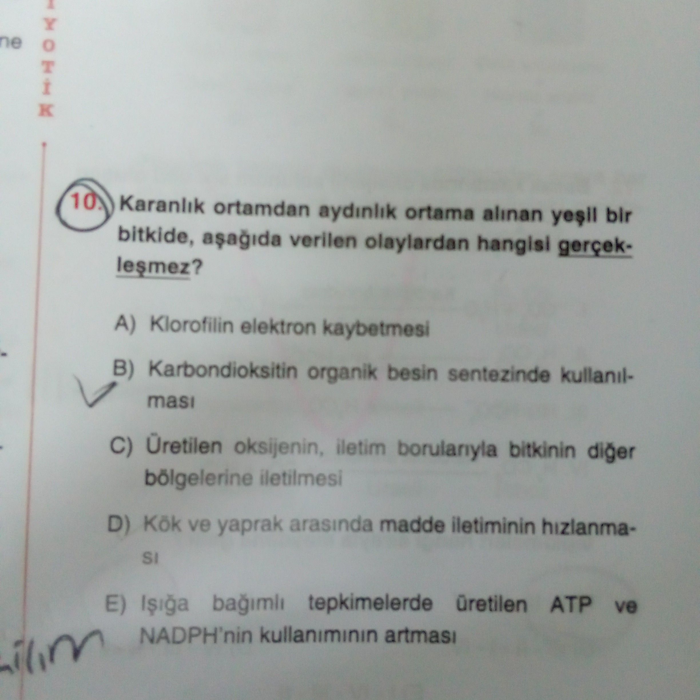 Karanlık ortamdan aydınlık ortama alınan yeşil bir bitkide, aşağıda verilen olaylardan hangisi