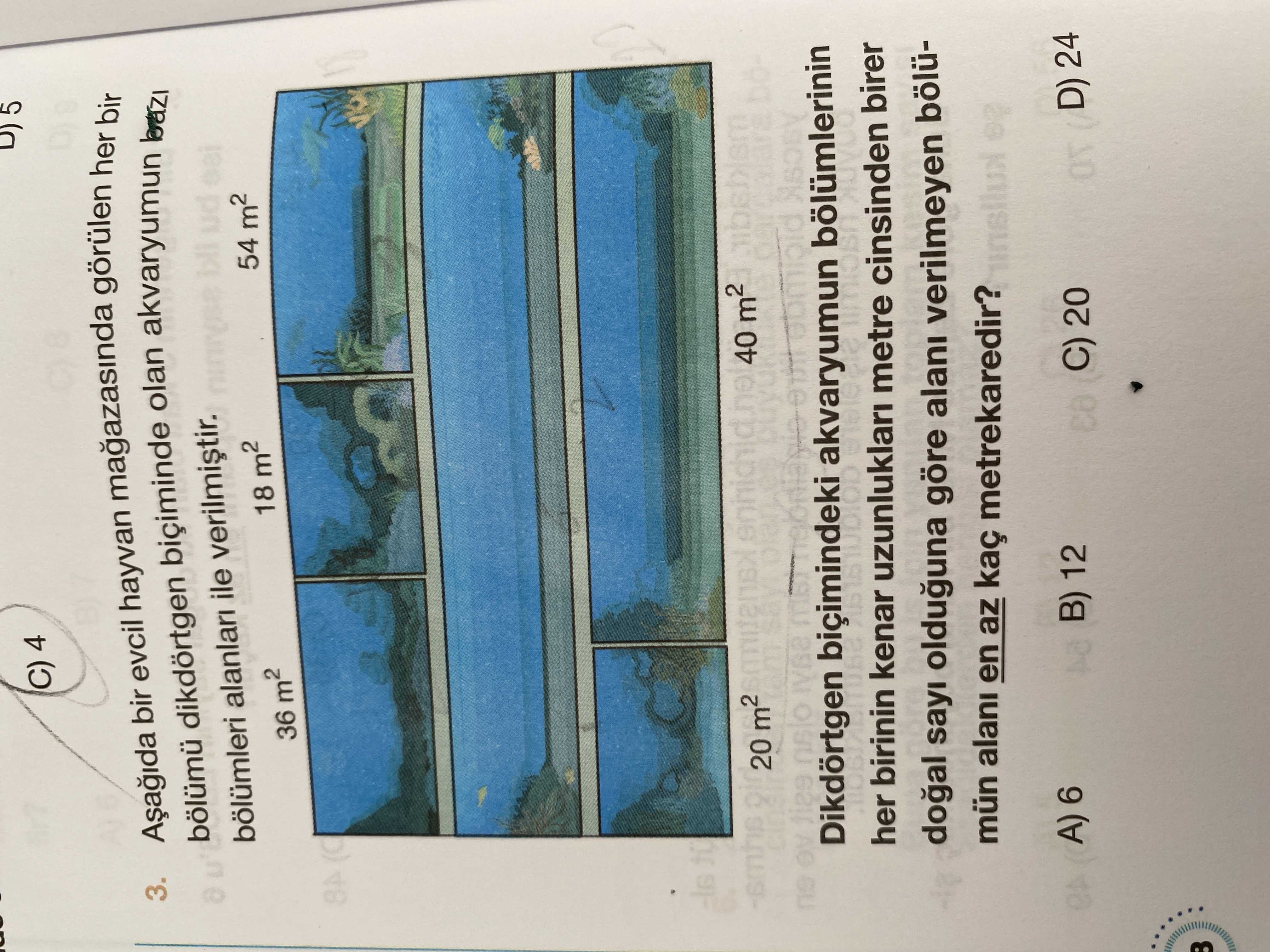 Matematik (8. Sınıf)