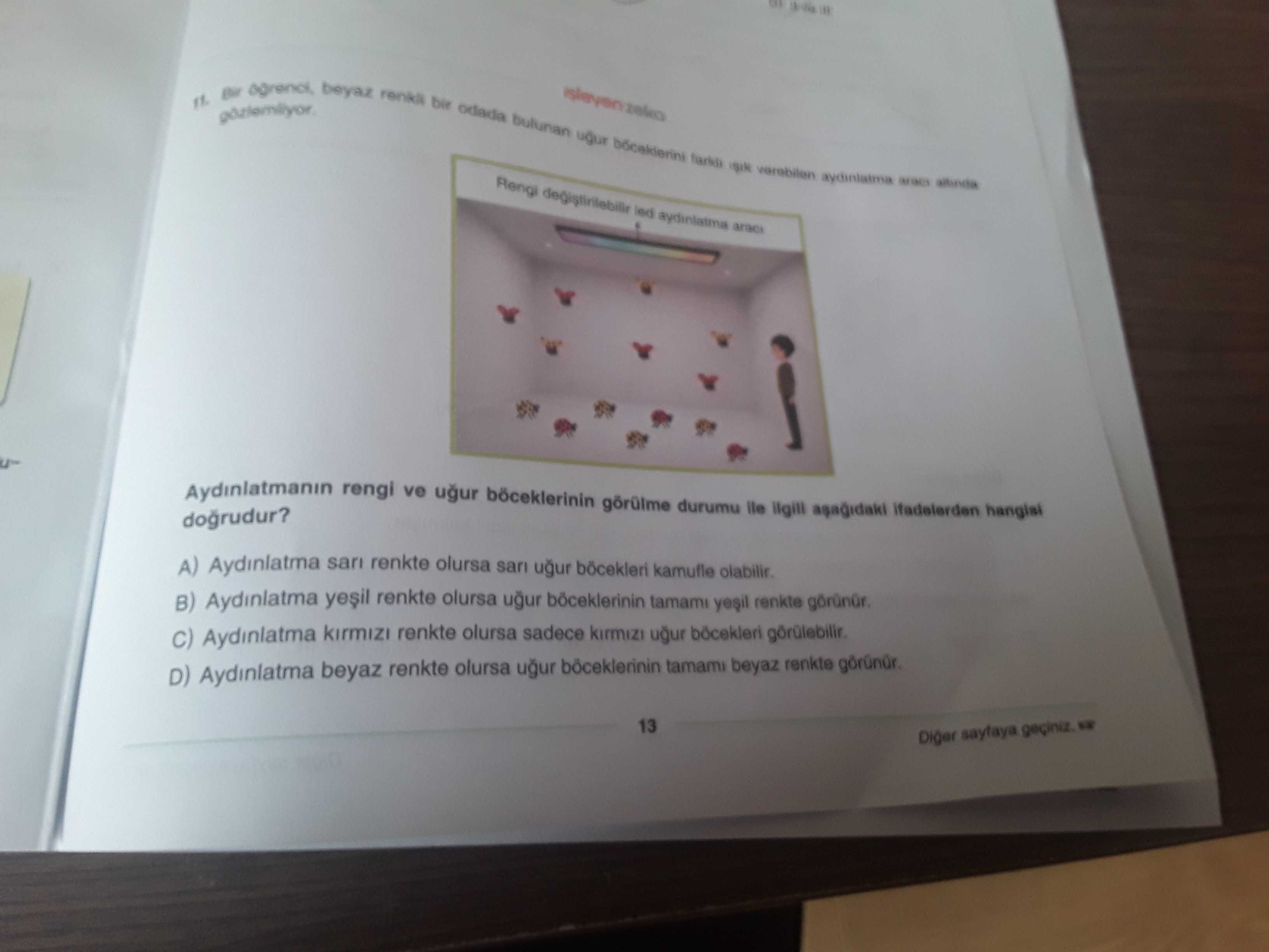 Bir öğrenci, beyaz renkli bir odada bulunan uğur böceklerini farklı ışık verebilen aydınlatma aracı