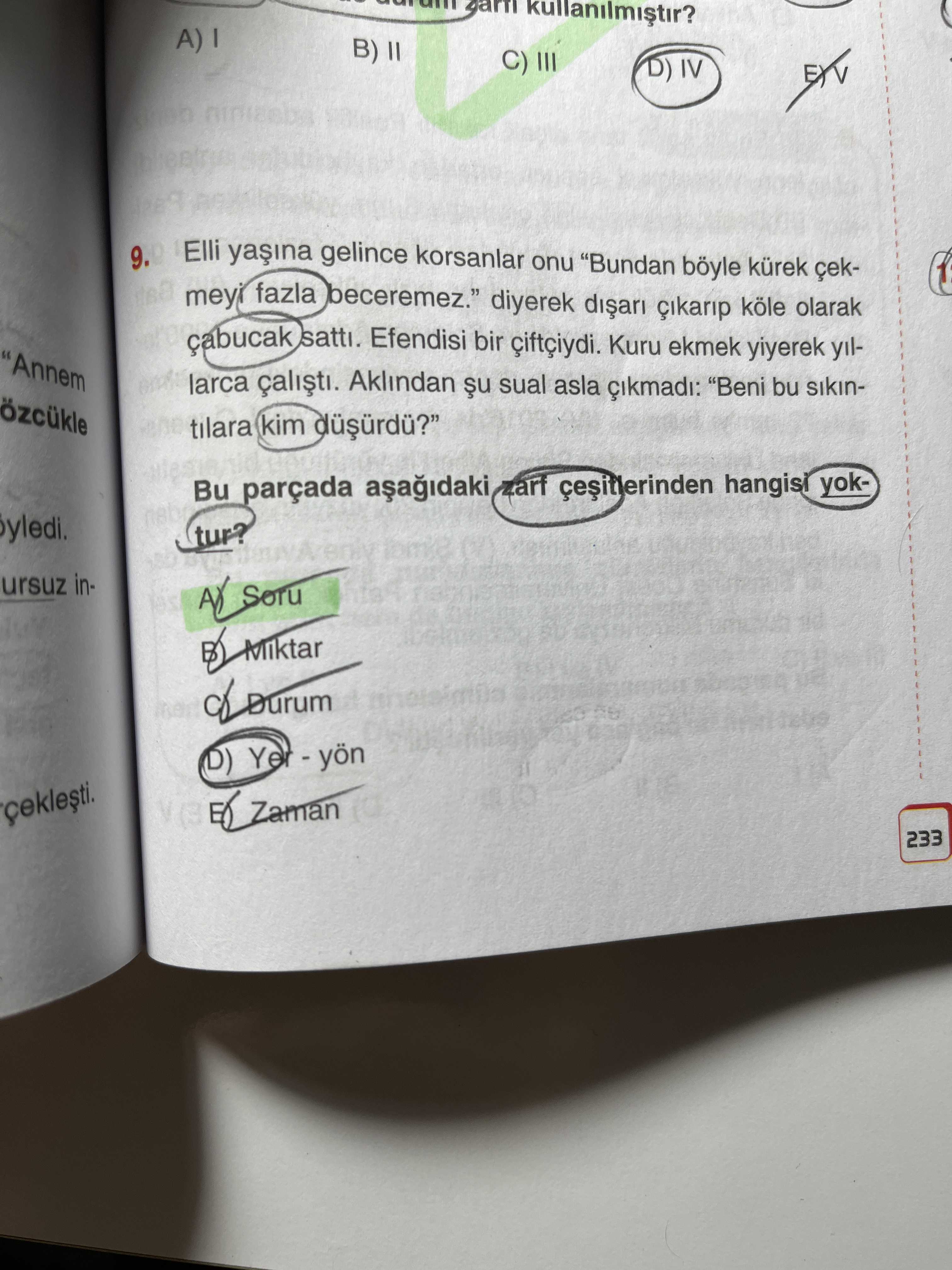 Türkçe (12. Sınıf)