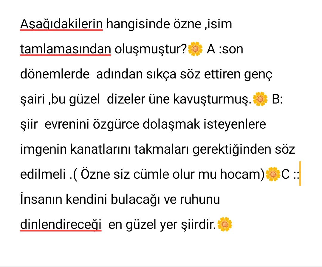 Türkçe (Mezun)