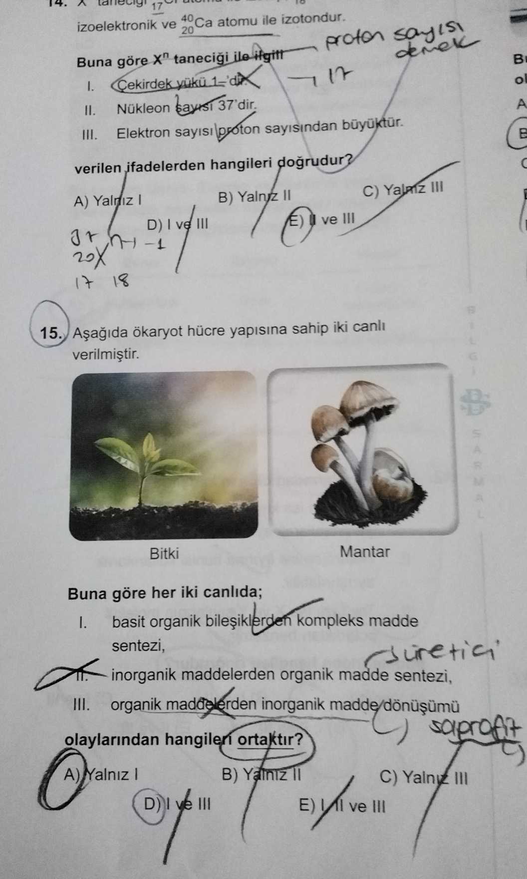 Aşağıda ökaryot hücre yapısına sahip iki canlı verilmiştir. Bitki Mantar Buna göre her iki canlıda