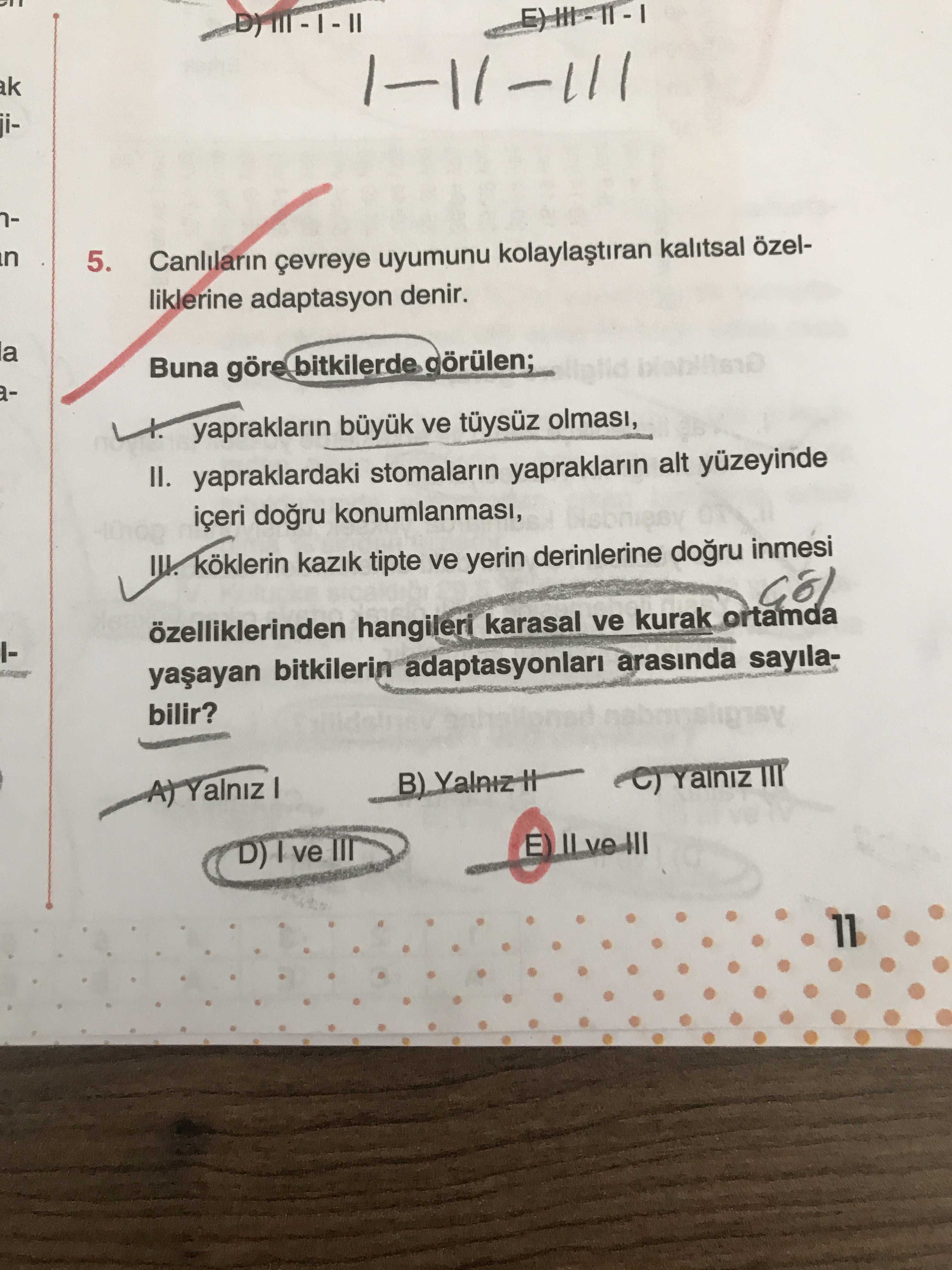 Biyoloji (11. Sınıf)