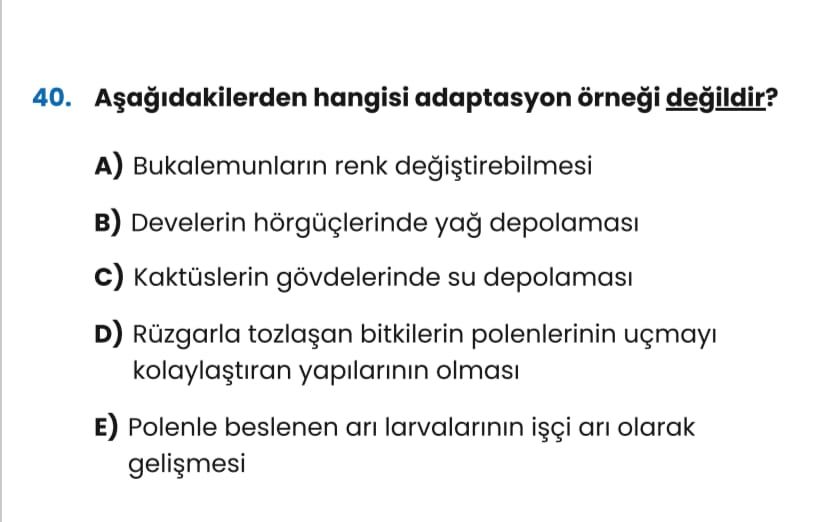 40. hangisi adaptasyon örnei Bukalemunlarin renk в) Develerin hörgüçlerinde c) Kaktüslerin gövdelerinde su D) Rüzgarla bitkilerin polenlerinin kolaylastiran yapilarinin olmasi E) Polenle beslenen ari larvalarinin ari olarak 40. hangisi adaptasyon örnei Bukalemunlarin renk в) Develerin hörgüçlerinde c) Kaktüslerin gövdelerinde su D) Rüzgarla bitkilerin polenlerinin kolaylastiran yapilarinin olmasi E) Polenle beslenen ari larvalarinin ari olarak. ?? Model.Question.title