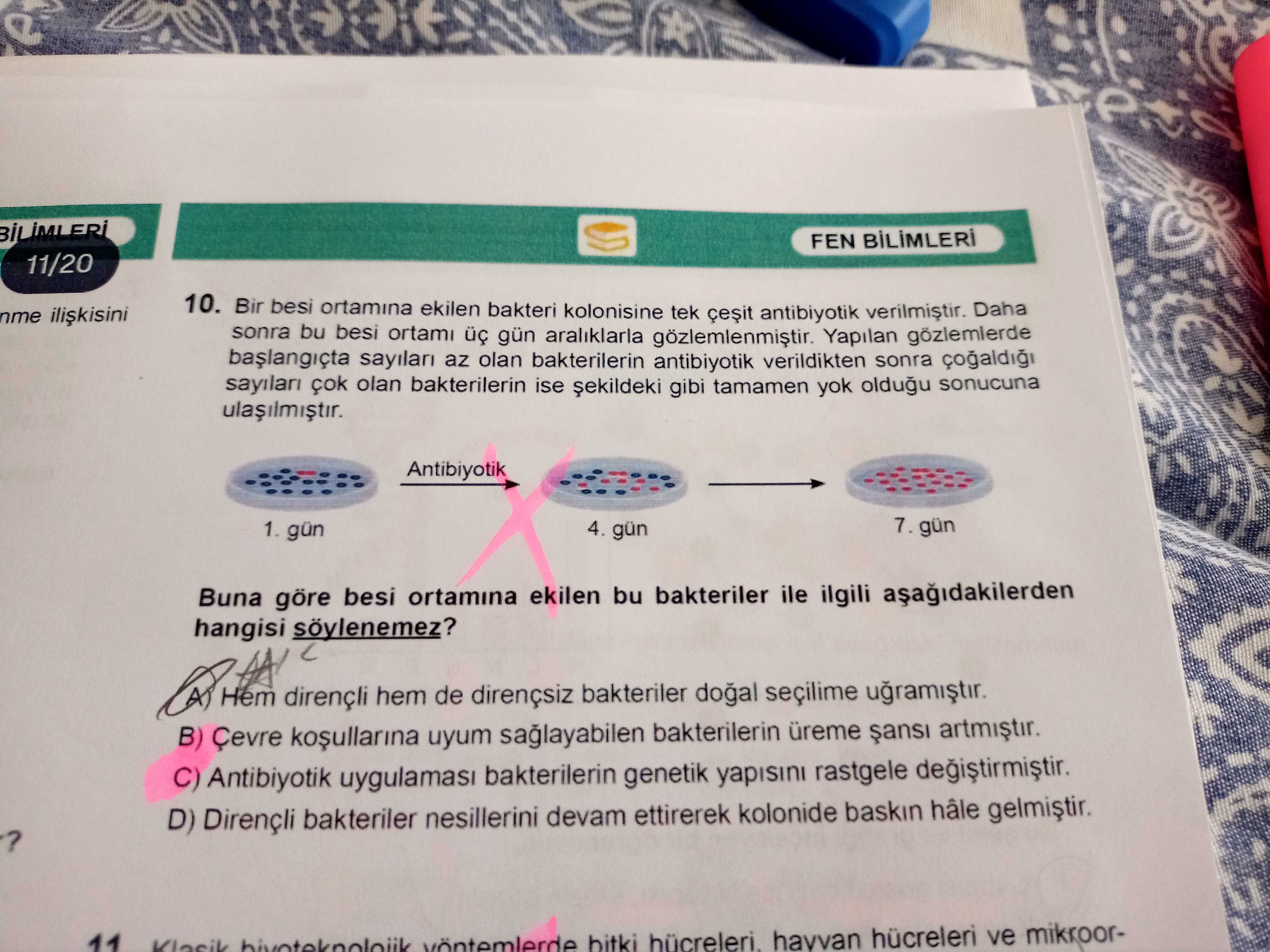 Bir besi ortamına ekilen bakteri kolonisine tek çeşit antibiyotik verilmiştir. Daha sonra bu besi