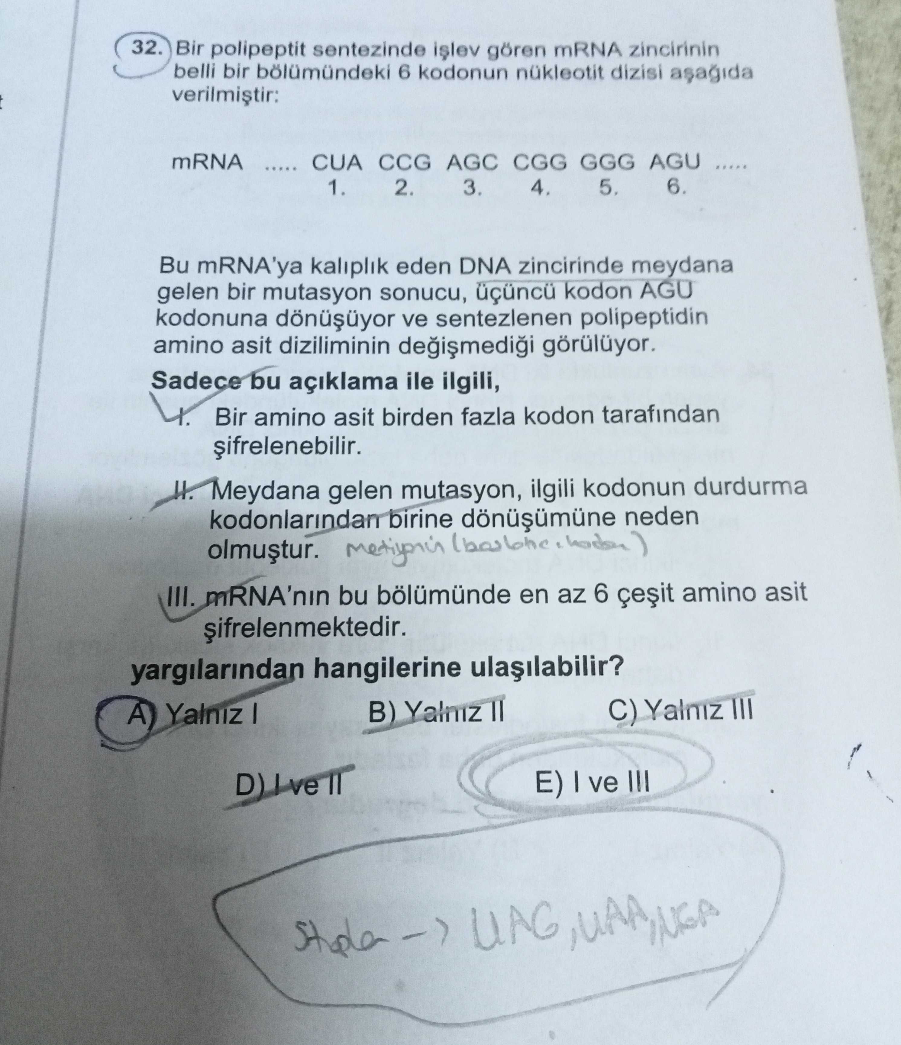 Bir polipeptit sentezinde işlev gören mRNA zincirinin belli bir bölümündeki 6 kodonun nükleotit