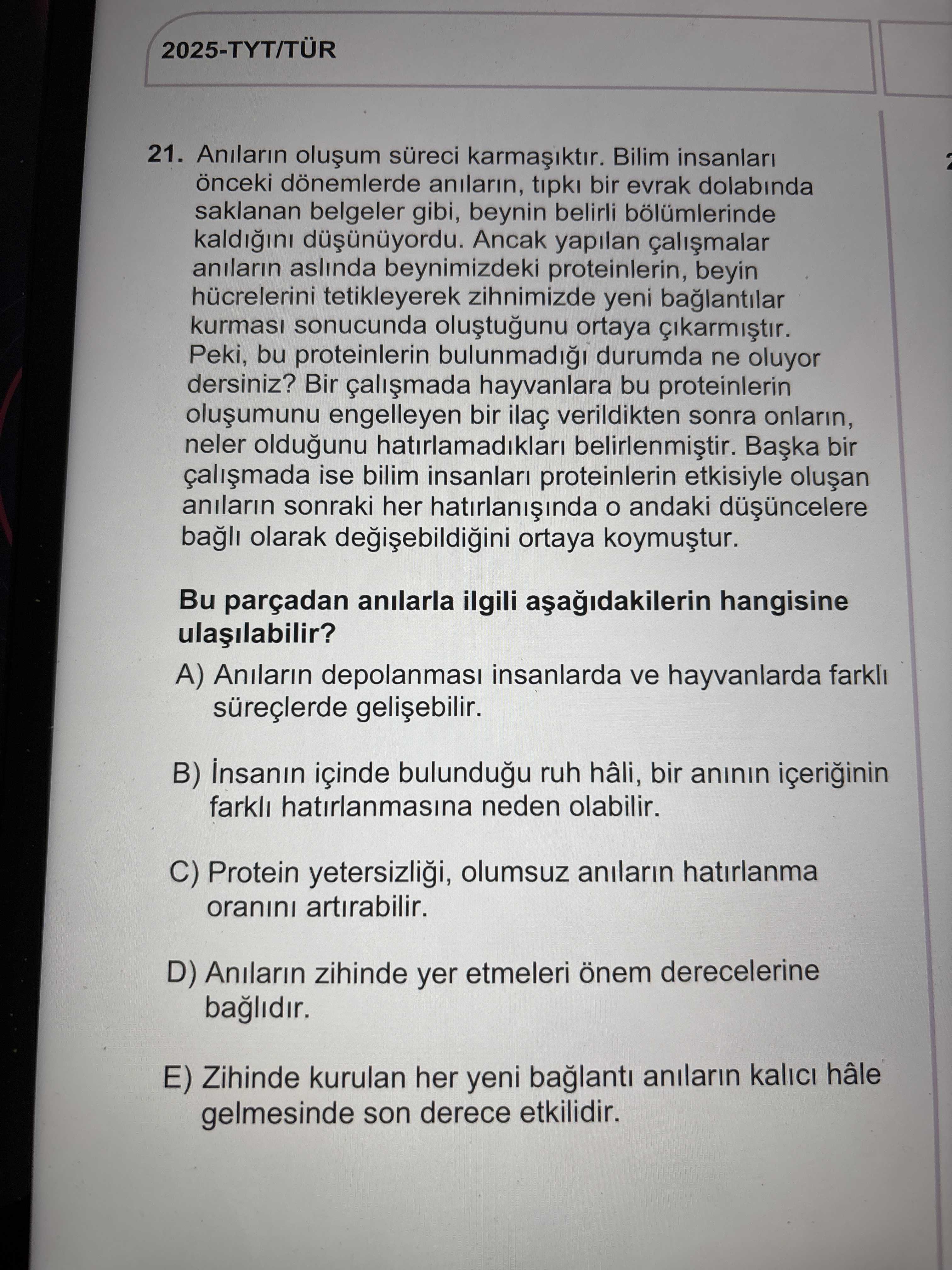 Türkçe (12. Sınıf)