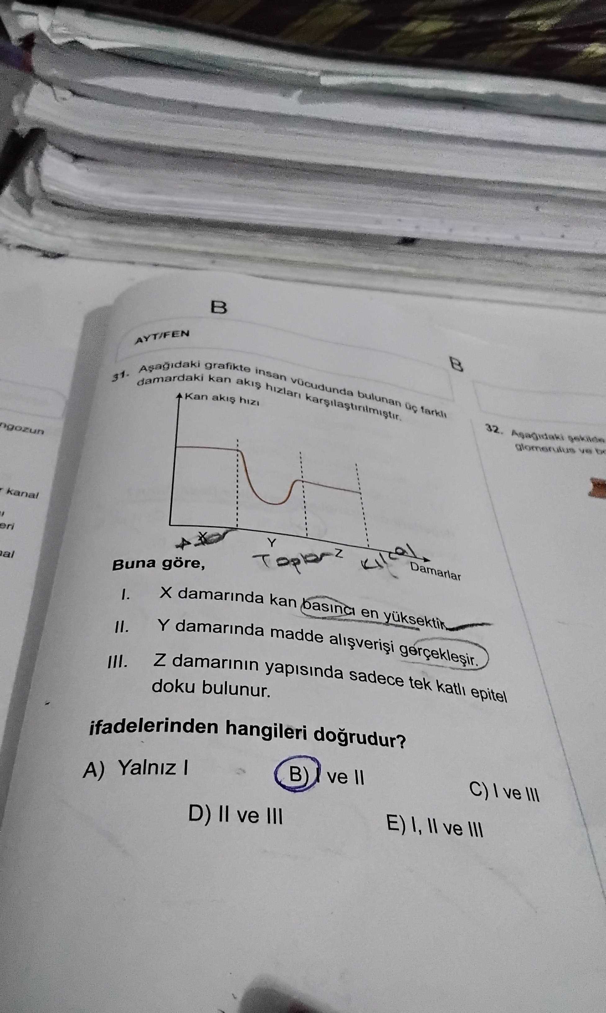 Aşağıdaki grafikte insan vücudunda bulunan üç farklı damardaki kan akış hızları karşılaştırılmıştır