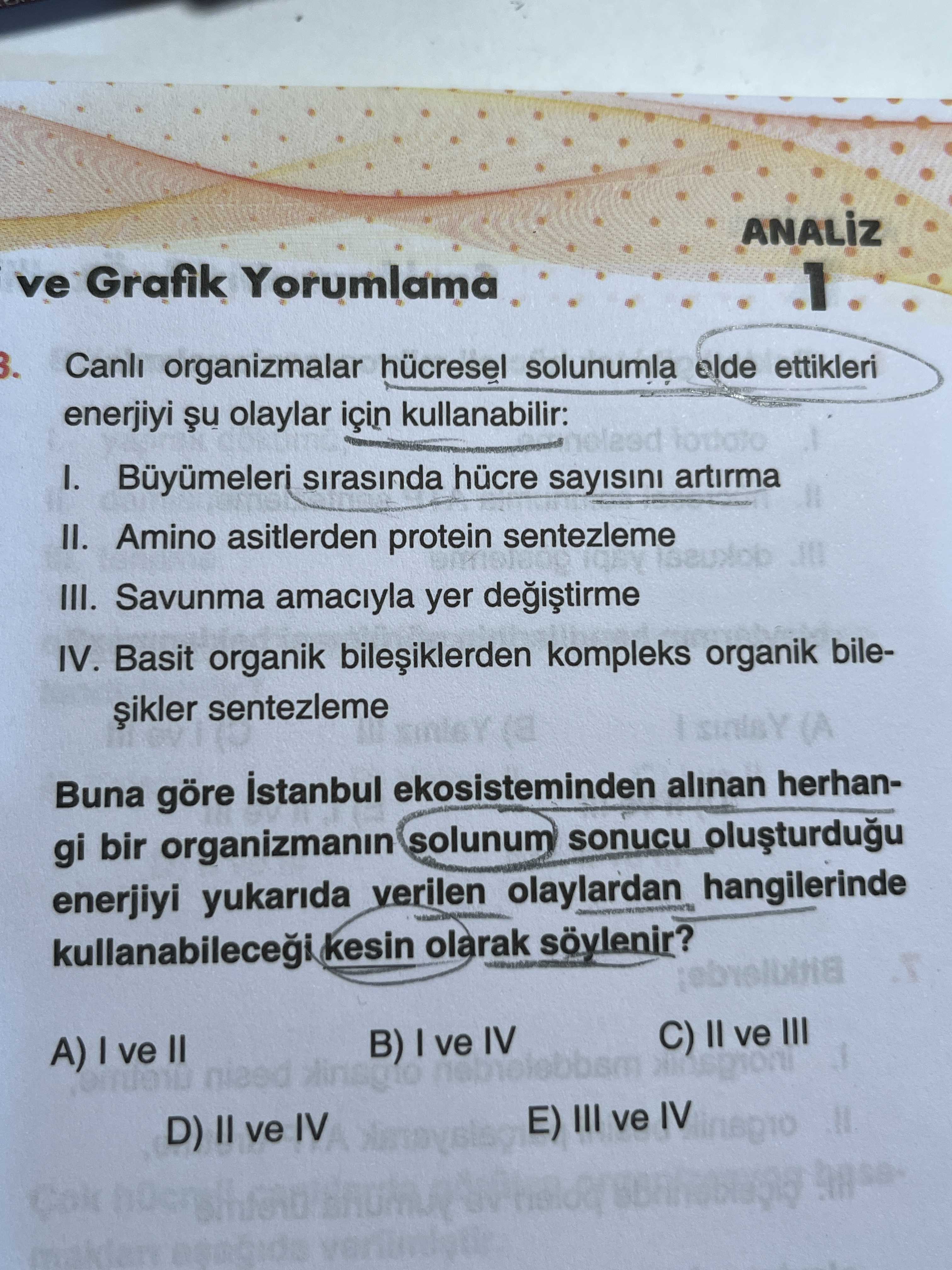 Biyoloji (12. Sınıf)