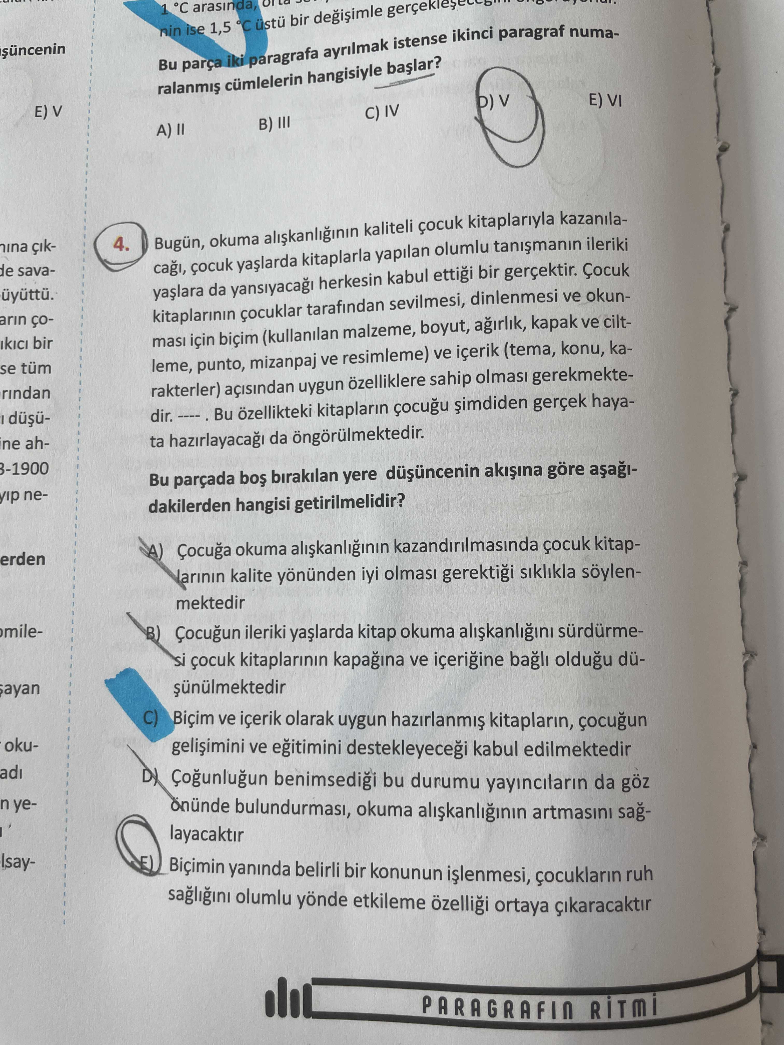 Türkçe (12. Sınıf)