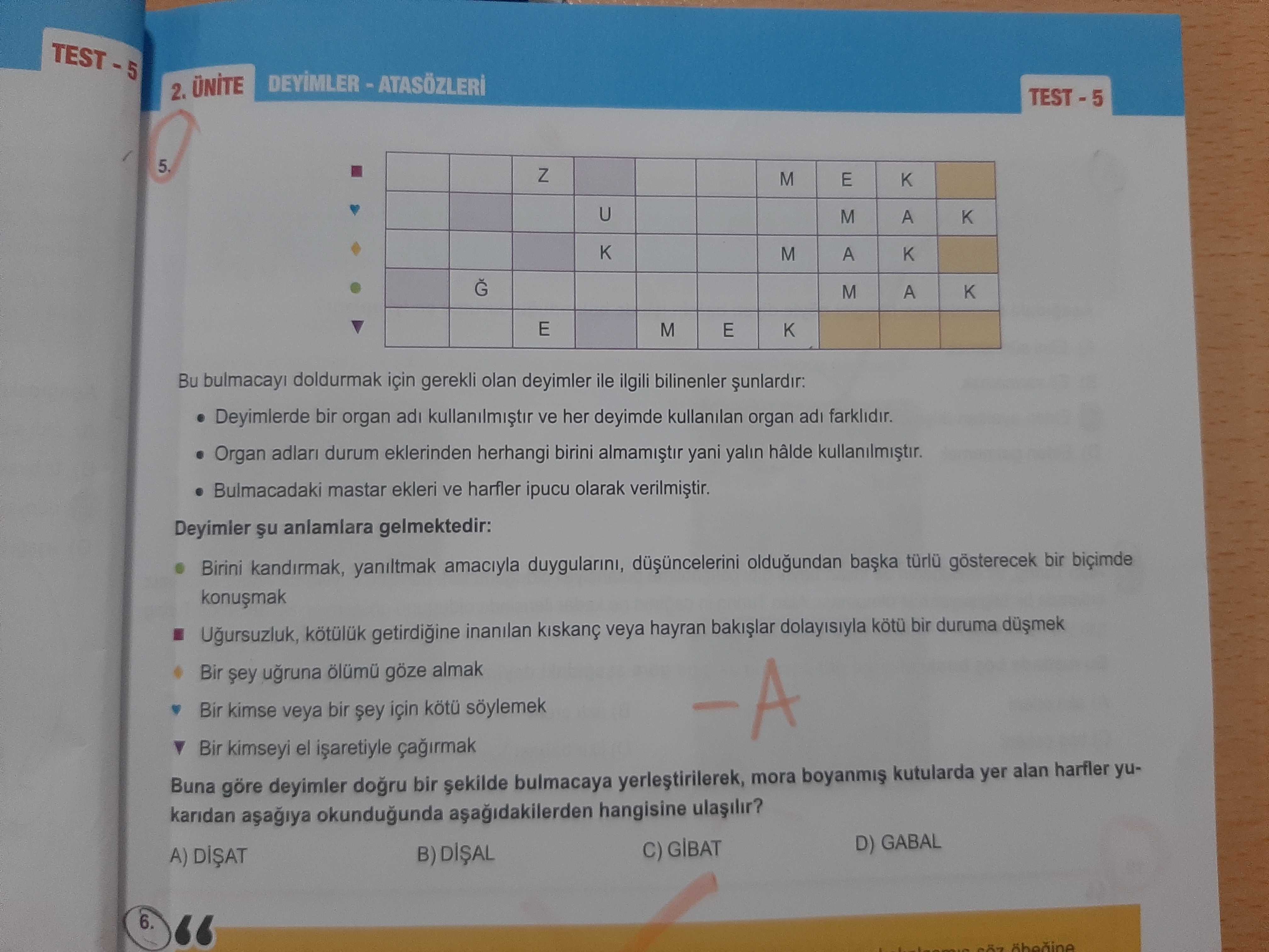 Türkçe (8. Sınıf)