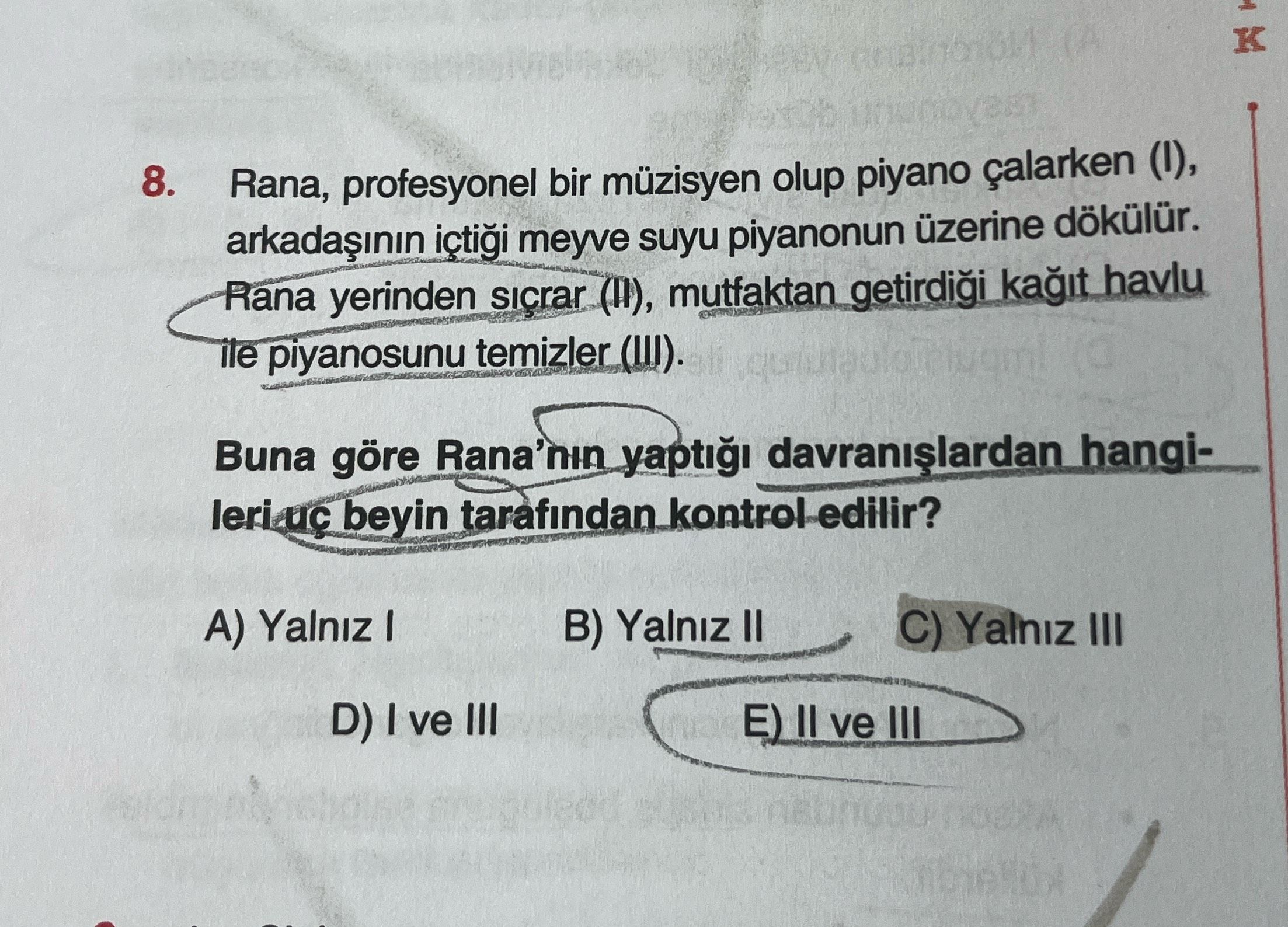 Rana, profesyonel bir müzisyen olup piyano çalarken (I), arkadaşının içtiği meyve suyu piyanonun