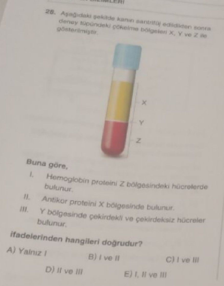 Aşağıdaki şekilde kanının santrifüj edilmesi sonucu oluşan katmanlara karşılık gelen bölgelerde X, Y