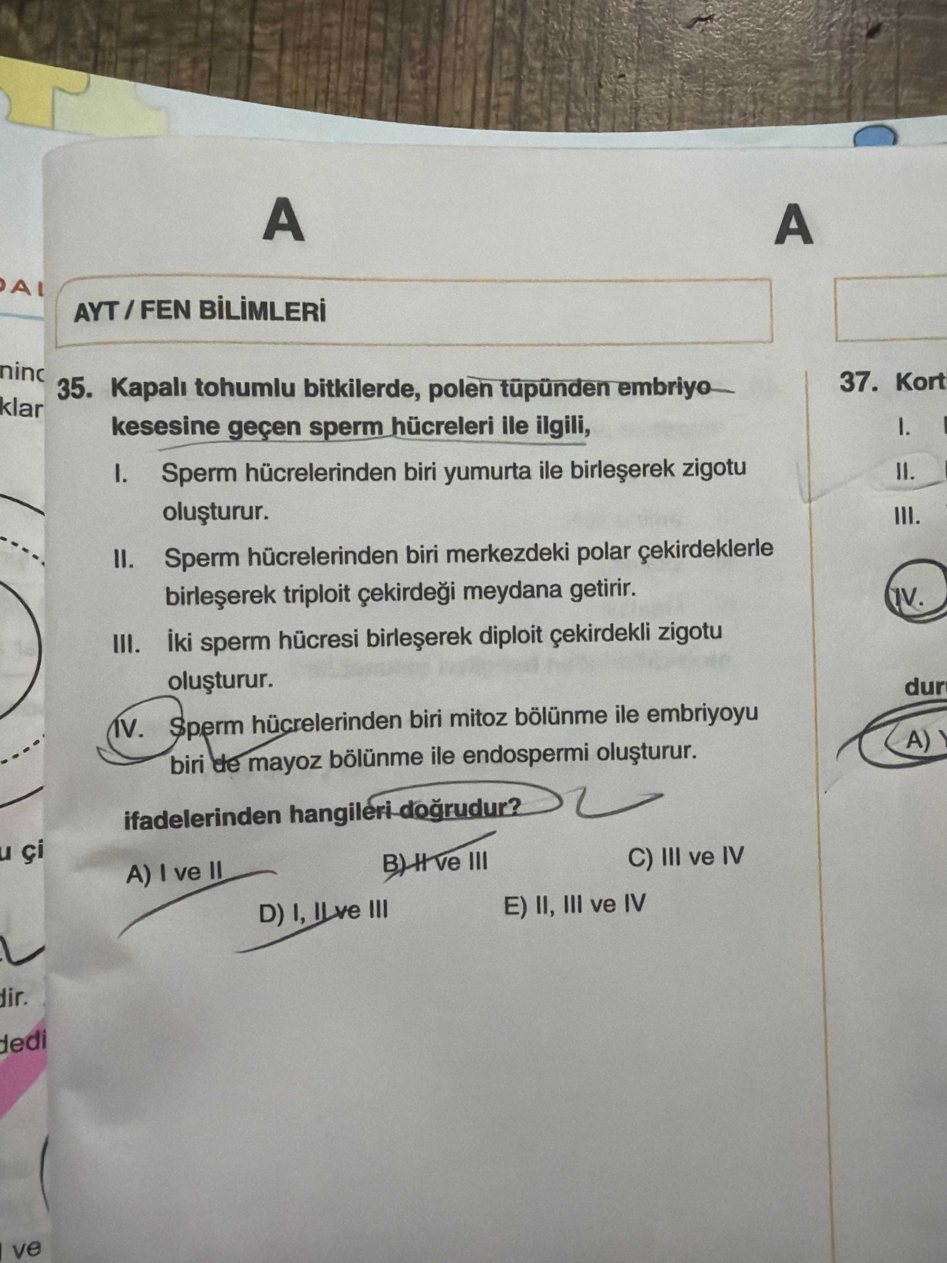 Kapalı tohumlu bitkilerde, polen tüpünden embriyo kesesine geçen sperm hücreleri ile ilgili, I