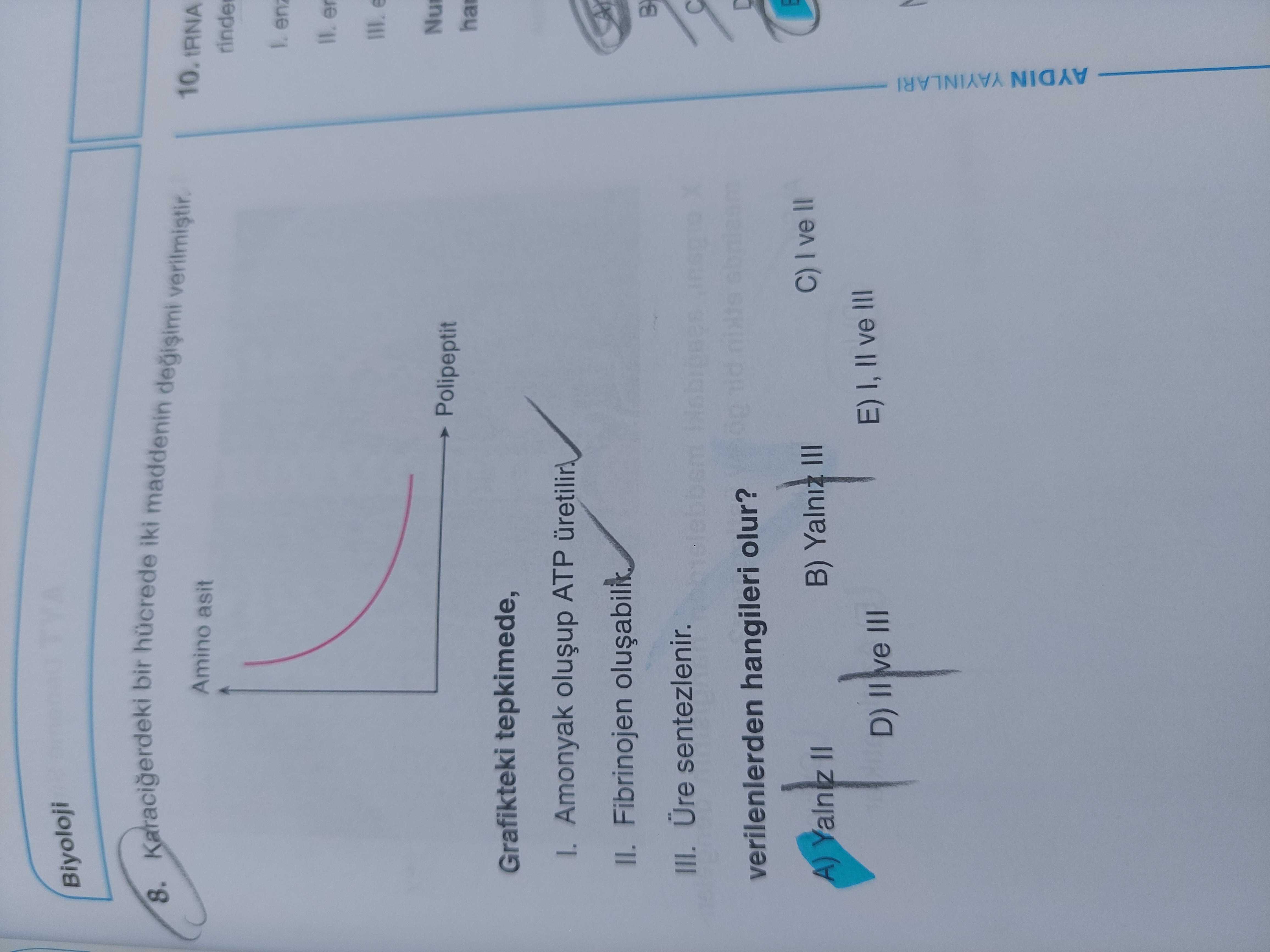 Karaciğerdeki bir hücrede iki maddenin değişimi verilmiştir. Grafikteki tepkimede, I. Amonyak oluşup