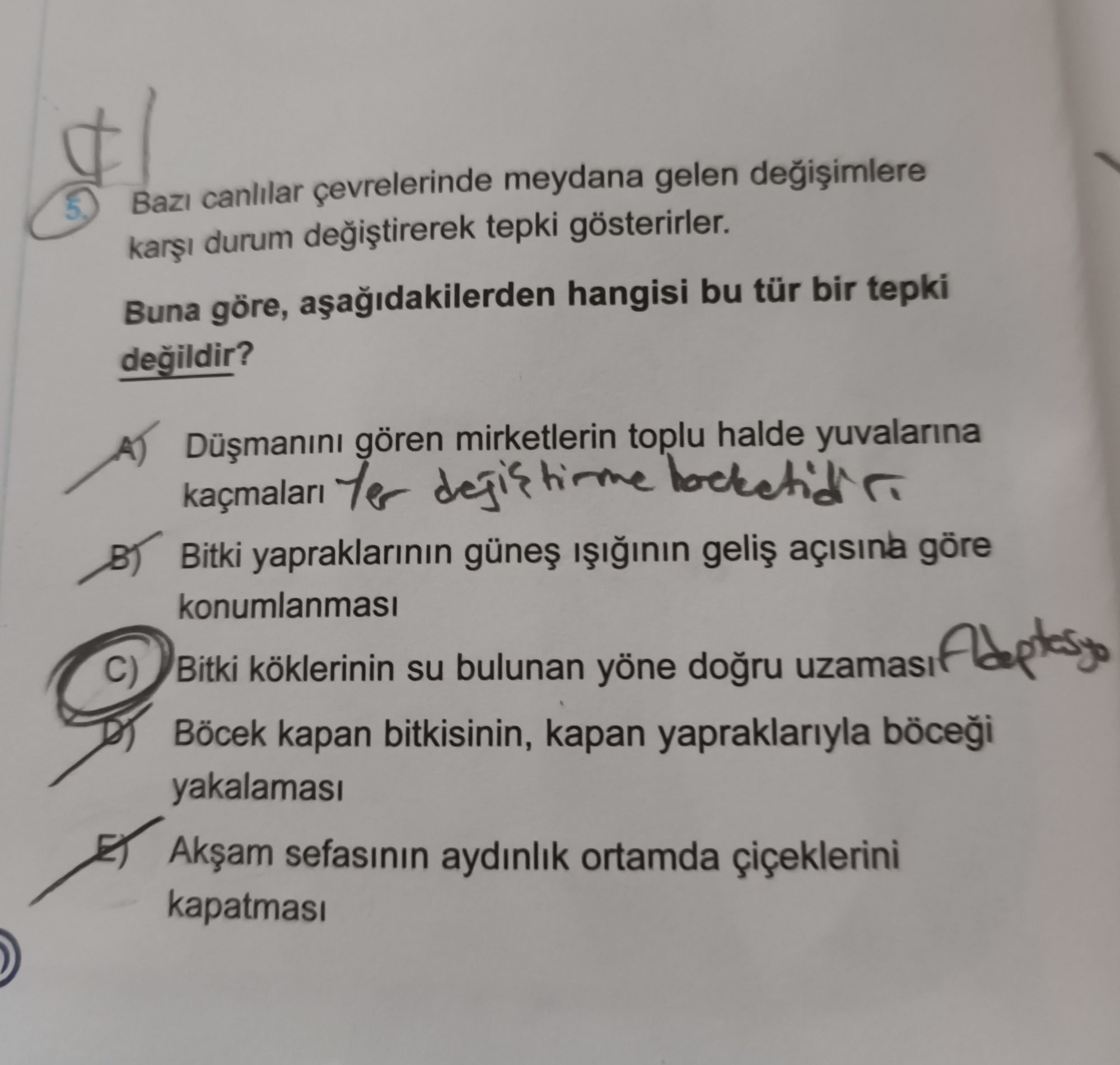 Bazı canlılar çevrelerinde meydana gelen değişimlere karşı durum değiştirerek tepki gösterirler