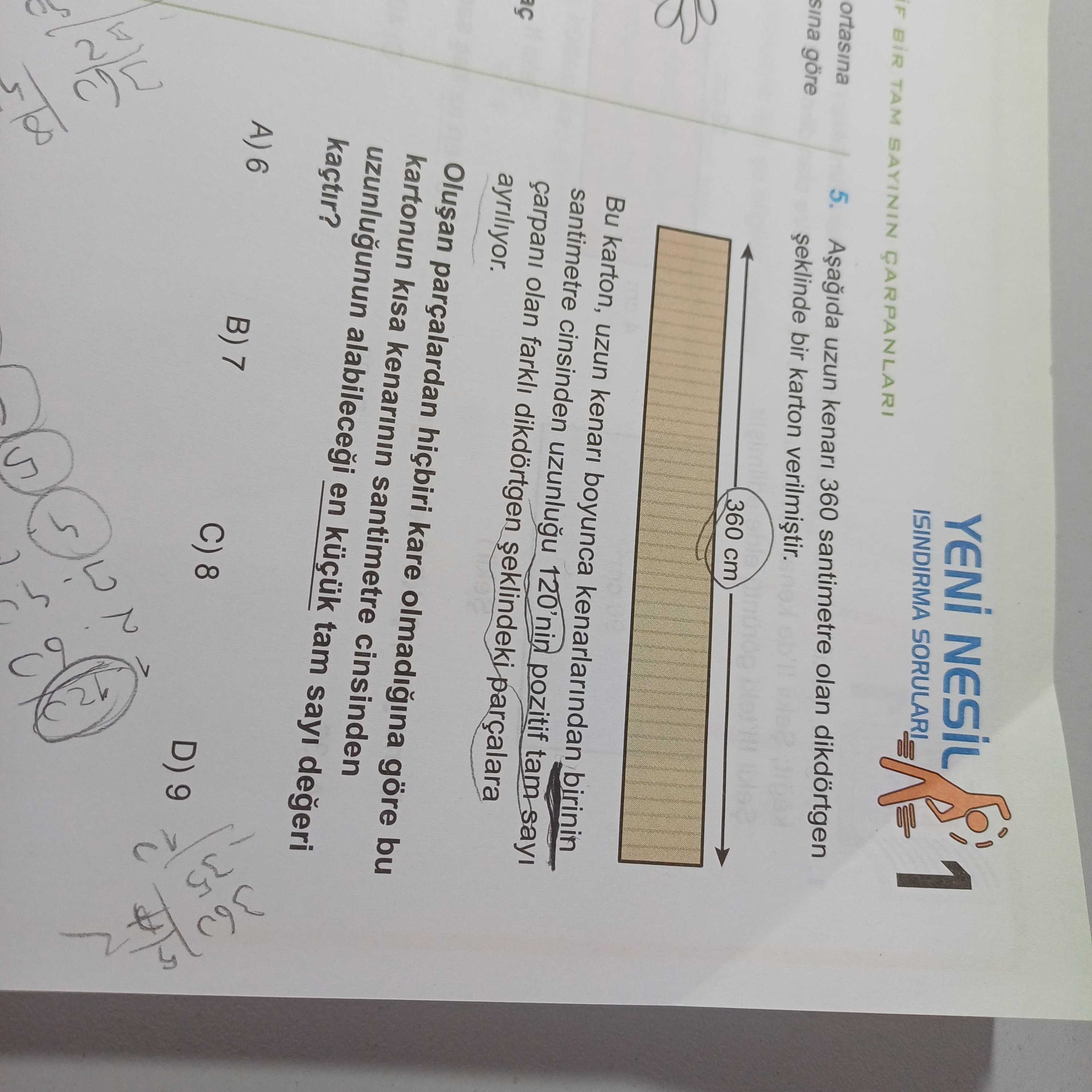 Matematik (8. Sınıf)