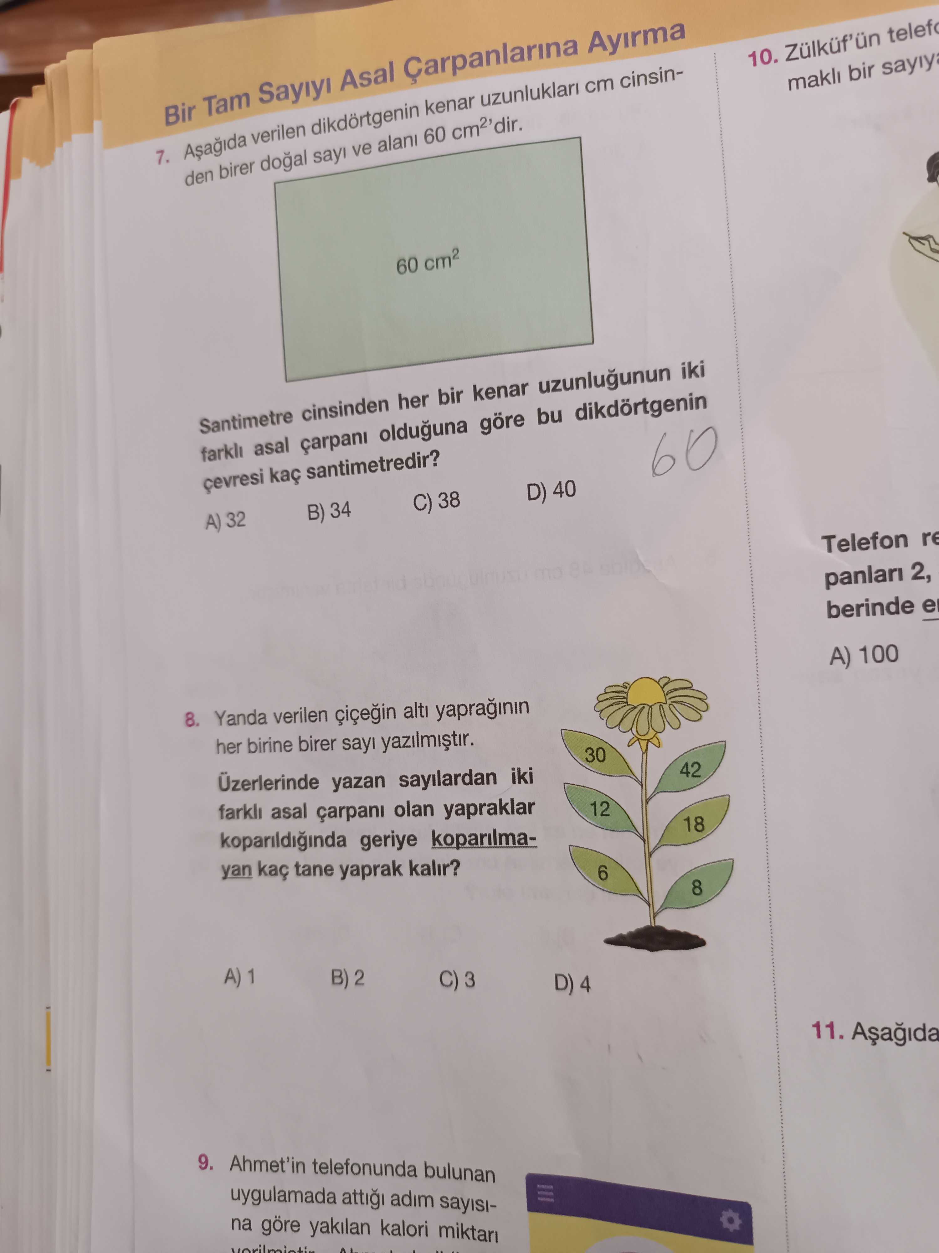 Matematik (8. Sınıf)
