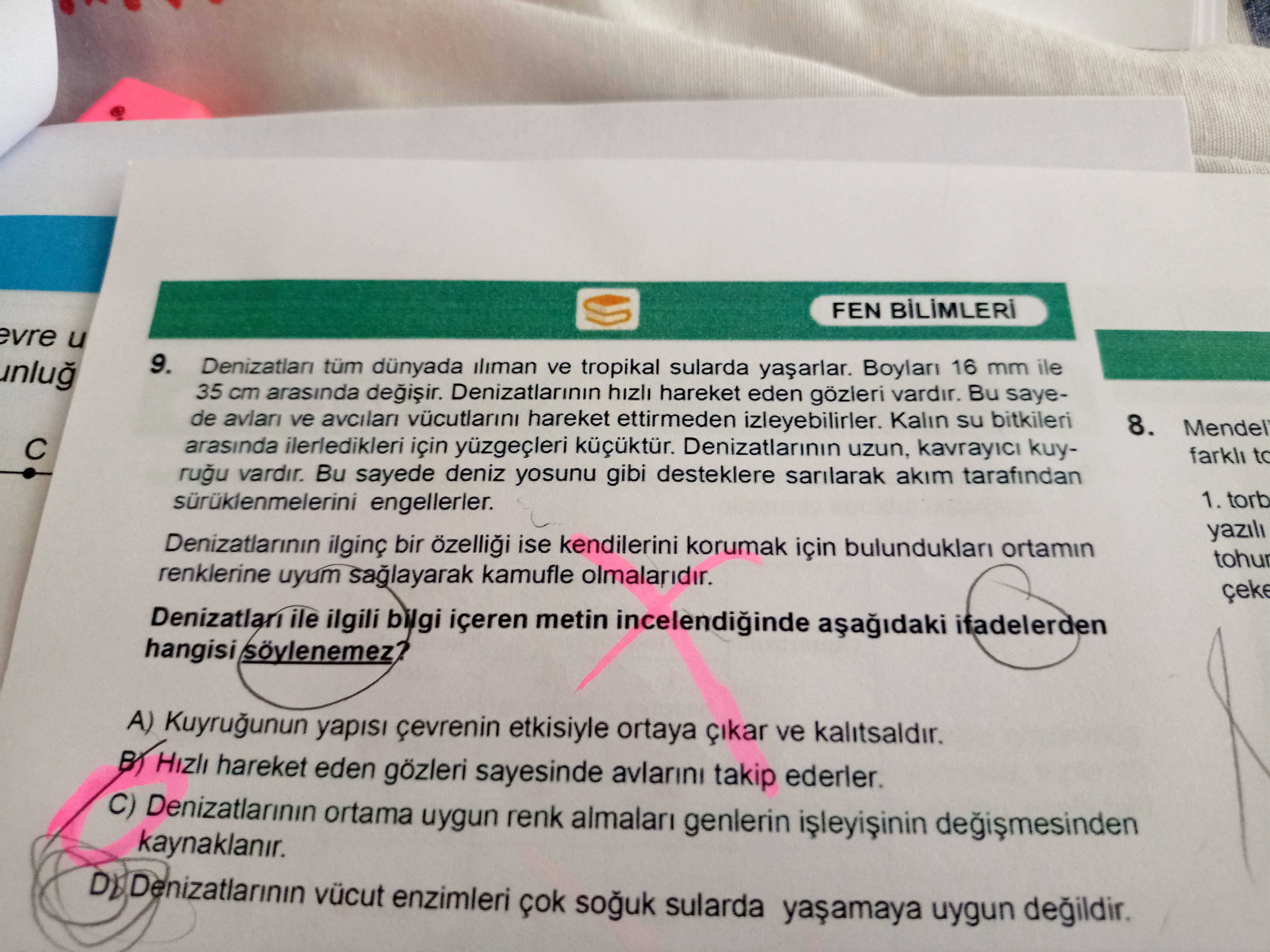 Denizatları tüm dünyada ılıman ve tropikal sularda yaşarlar. Boyları 16 mm ile 35 cm arasında