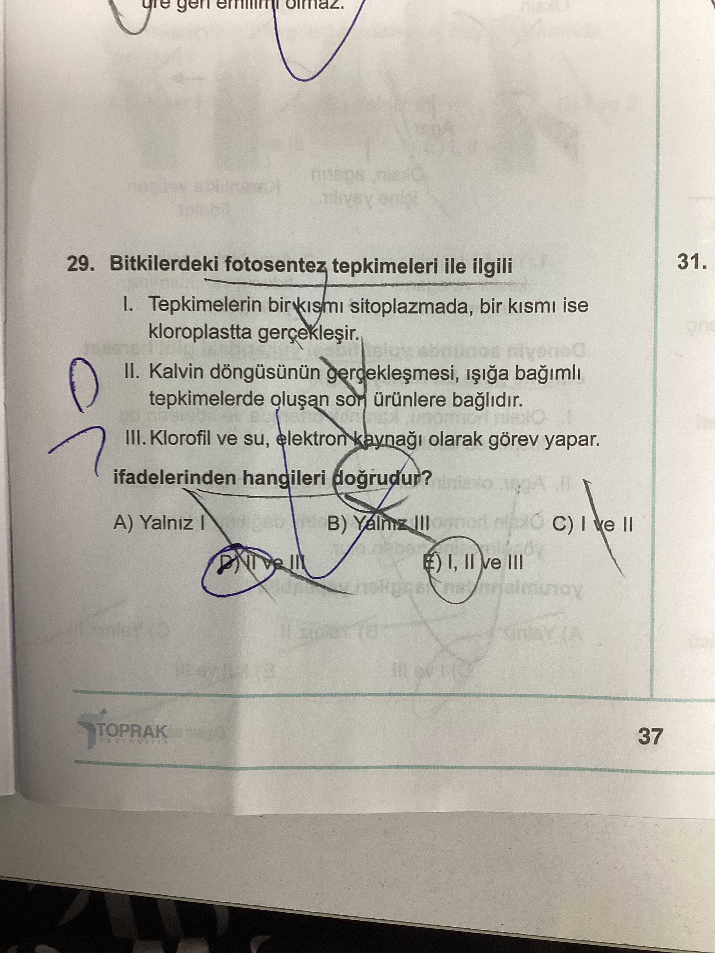 Bitkilerdeki fotosentez tepkimeleri ile ilgili I. Tepkimelerin bir kısmı sitoplazmada, bir kısmı ise kloroplastta gerçekleşir