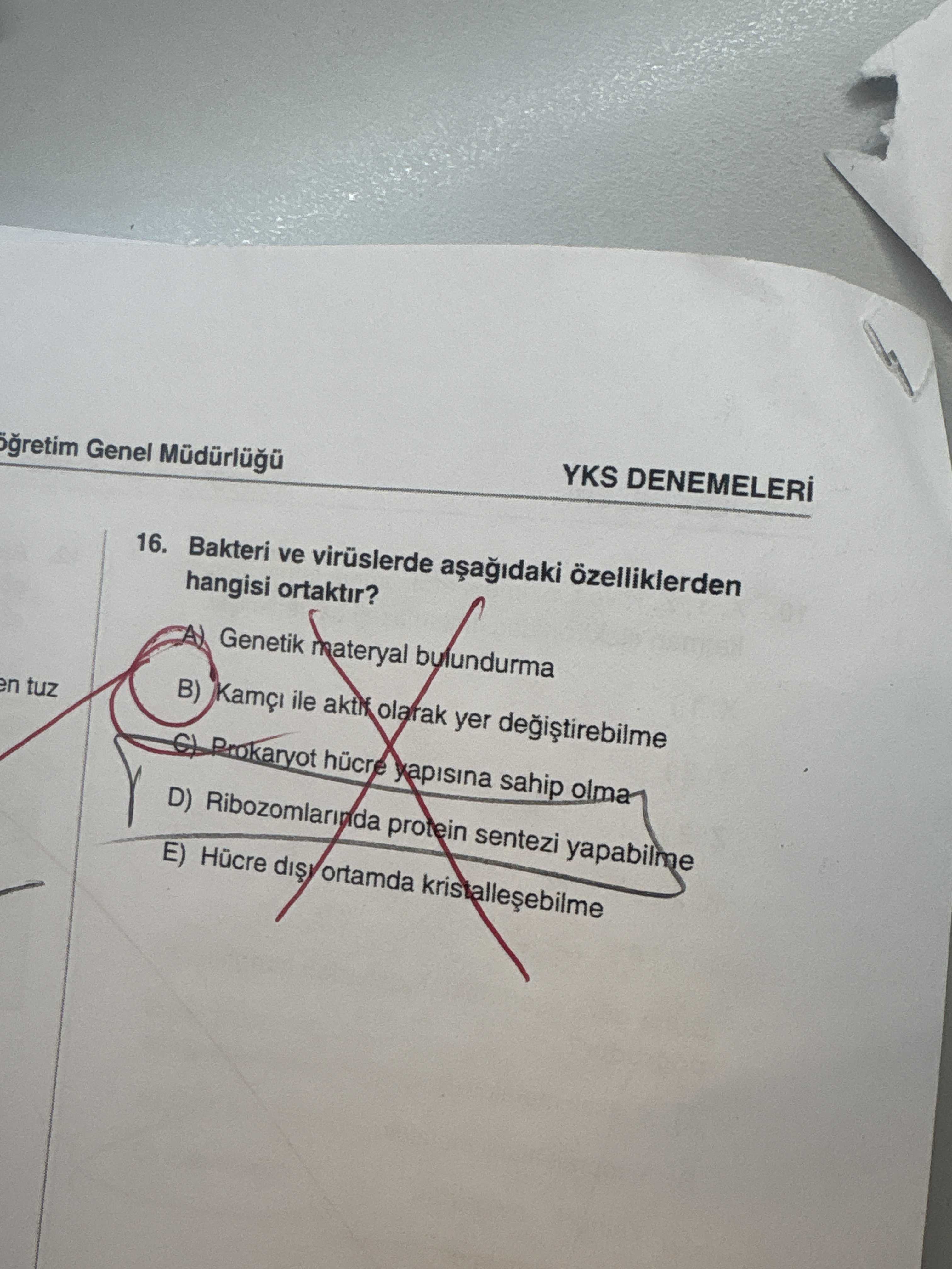 Bakteri ve virüslerde aşağıdaki özelliklerden hangisi ortaktır?
