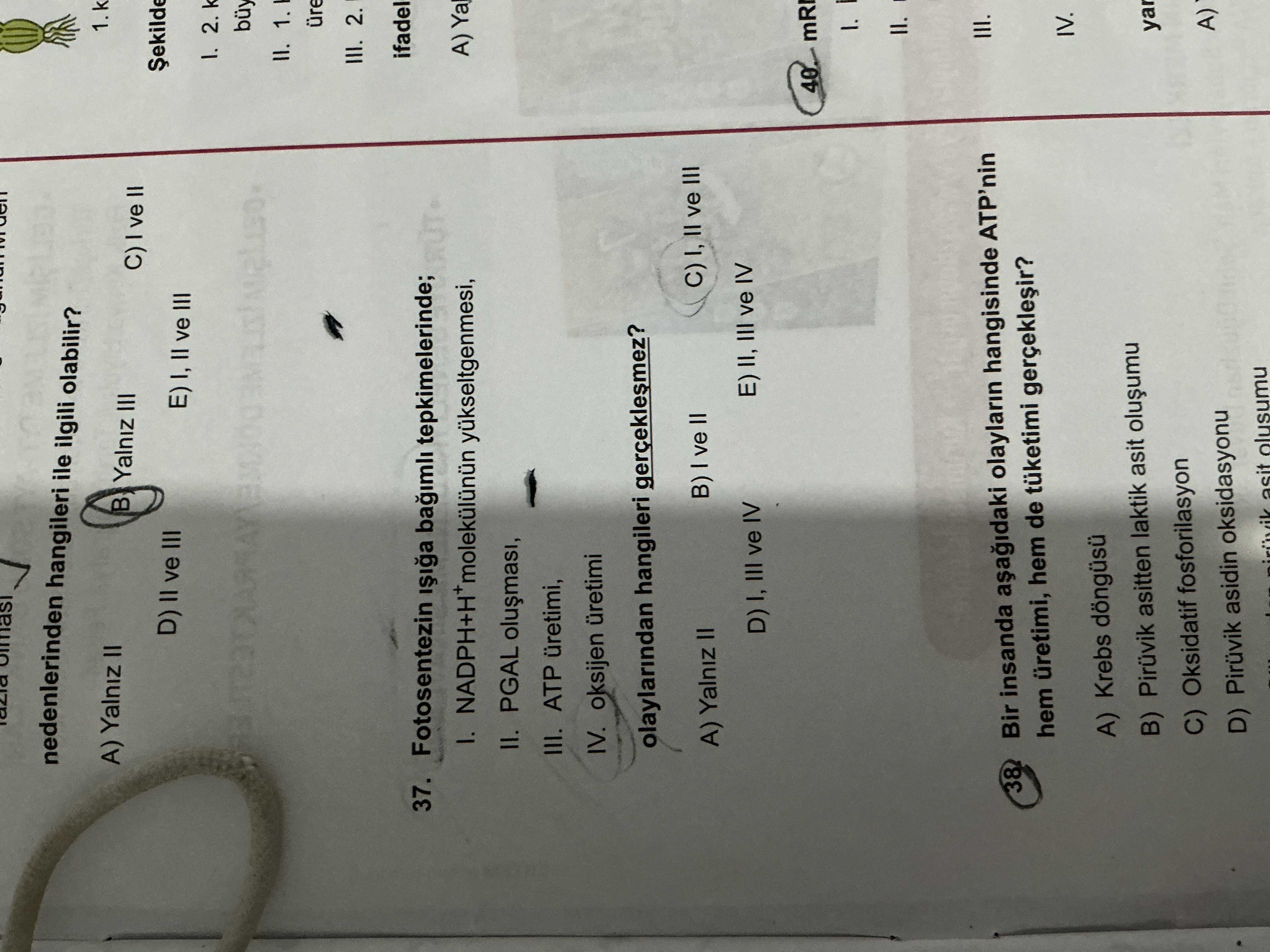 Fotosentezin ışığa bağımlı tepkimelerinde; I. NADPH+H⁺ molekülünün yükseltgenmesi, II. PGAL