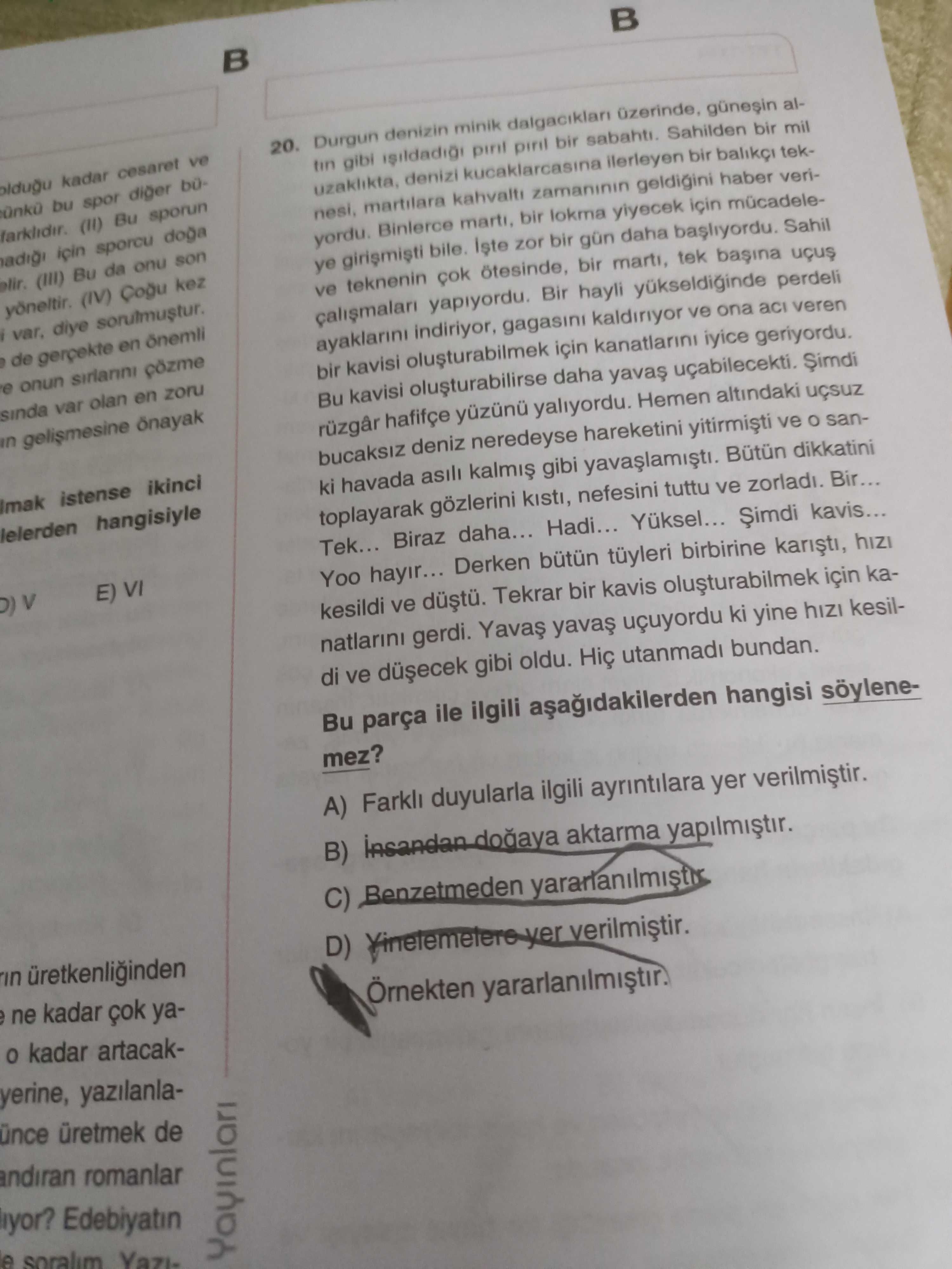 Durgun denizin minik dalgacıkları üzerinde, güneşin altın gibi ışıldadığı pırıl pırıl bir sabahtı