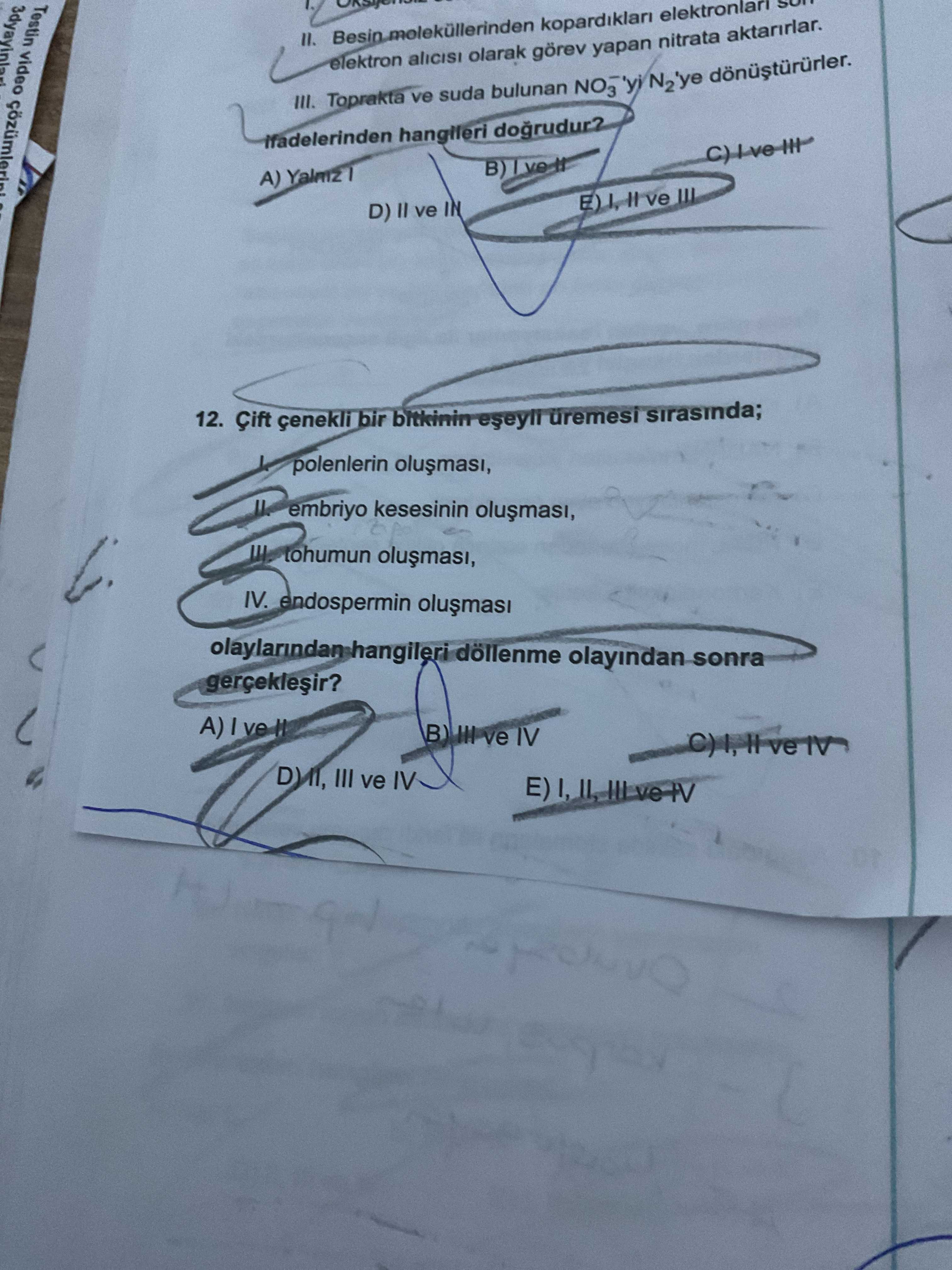 Çift çenekli bir bitkinin eşeyli üremesi sırasında; I. polenlerin oluşması, II. embriyo kesesinin