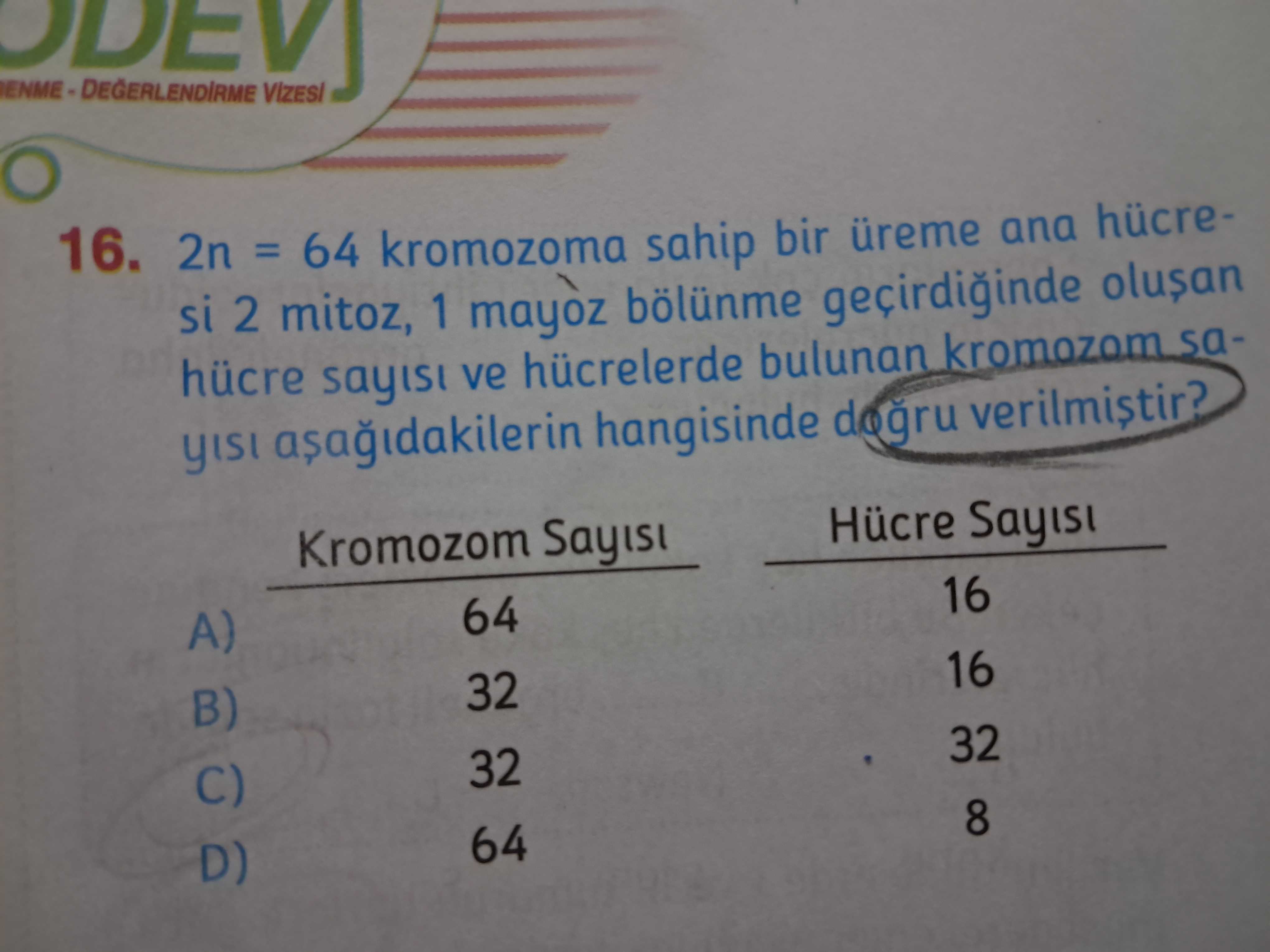 Fen Bilimleri (7. Sınıf)