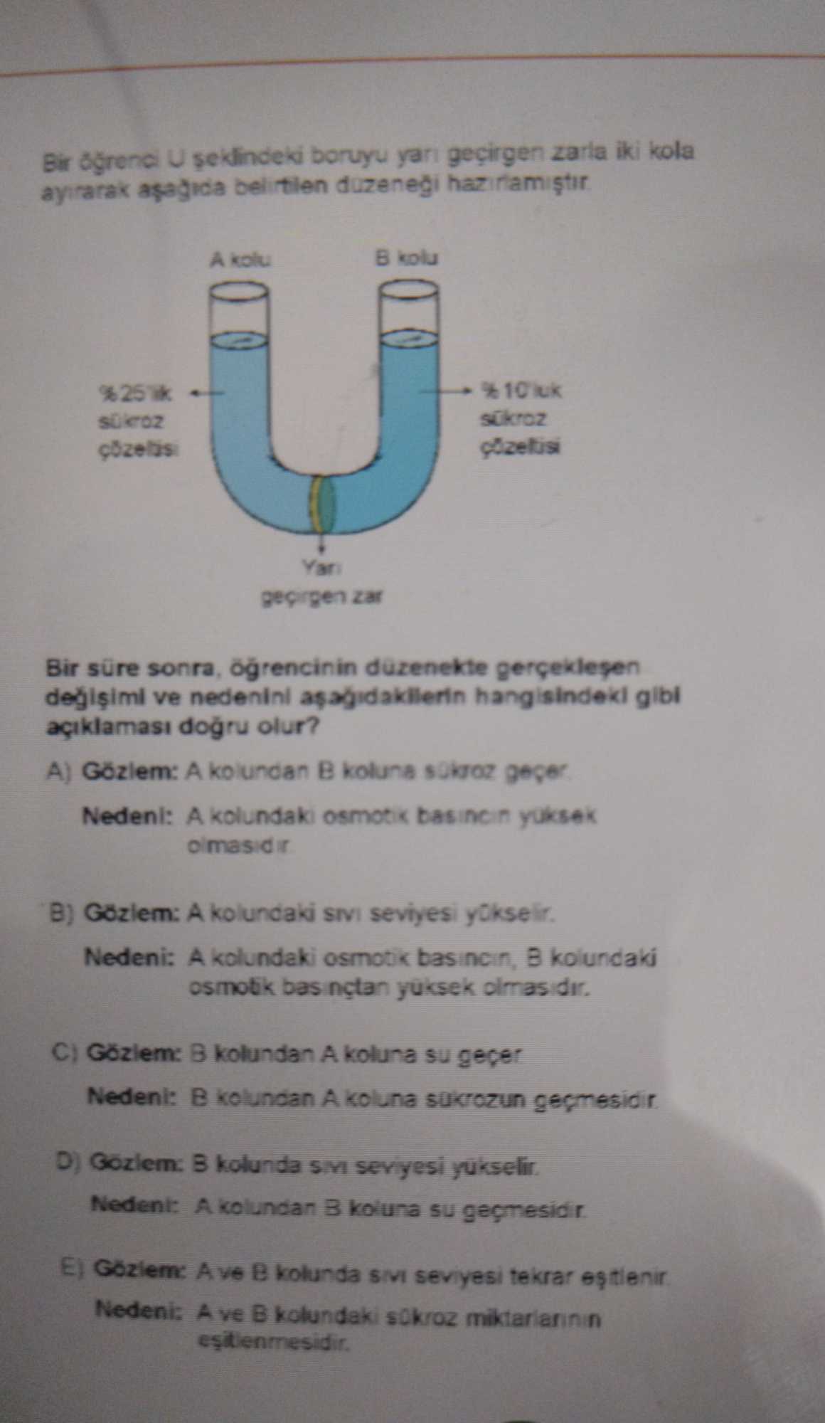 Bir öğrenci U şeklindeki boruyu yarı geçirgen zarla iki kola ayırarak aşağıda belirtilen düzeneği hazırlamıştır. Bir süre sonra